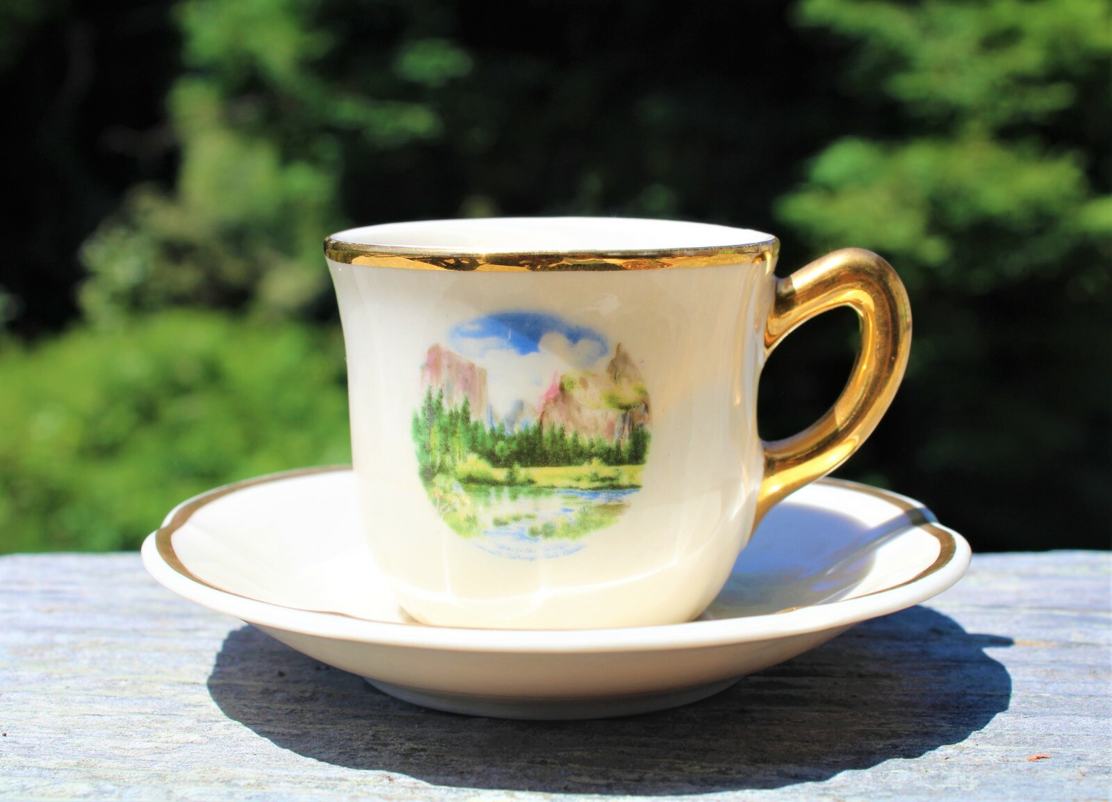 Yosemite Vinatge Souvenir Mini Cup and Saucer- Half Dome 1960’s