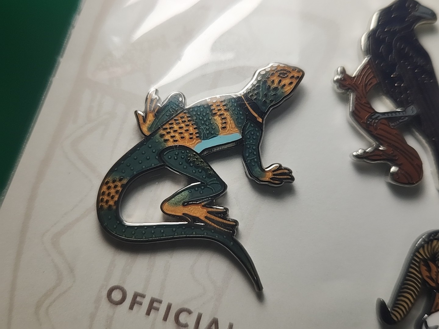Canyonlands National Park Utah Canyon Country Desert Wildlife Pin Raven Lizard