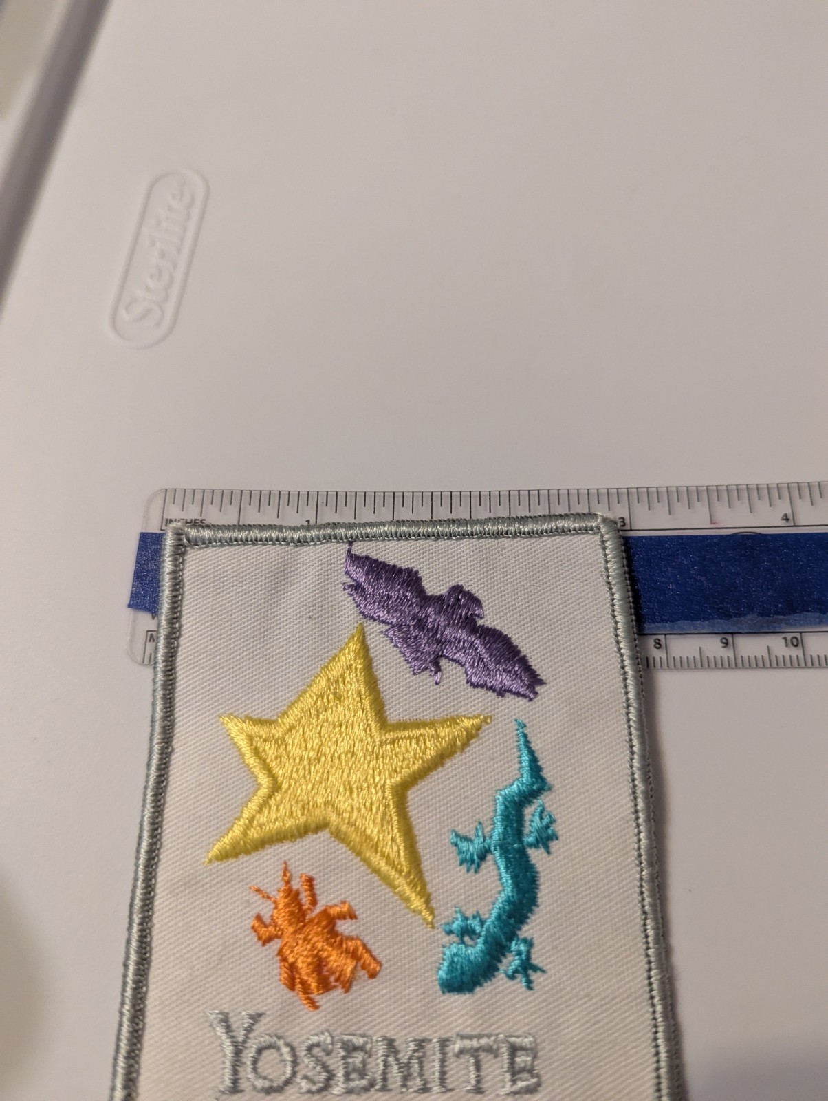 Yosemite Institute Patch (AKA Nature Bridge) Bat Star Lizard Insect on white.