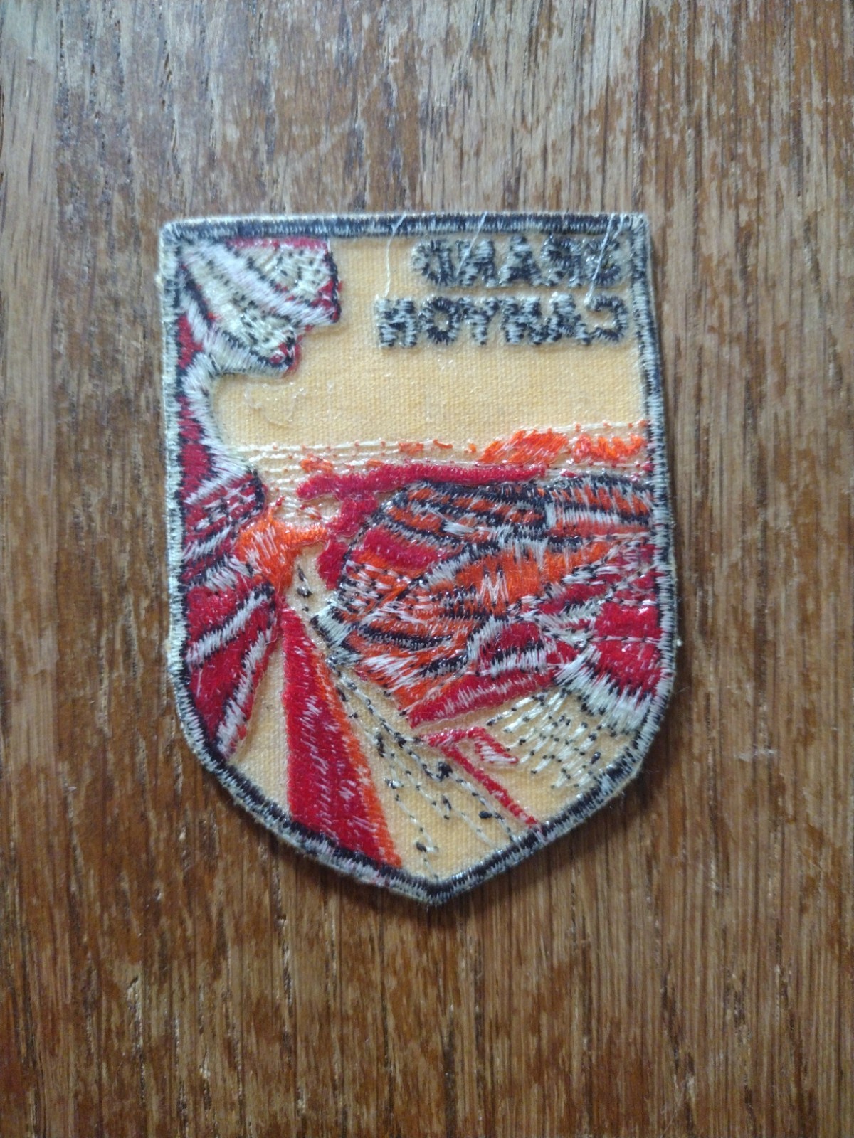 Vintage GRAND CANYON Scenic View Arizona Travel Souvenir Iron-On Patch