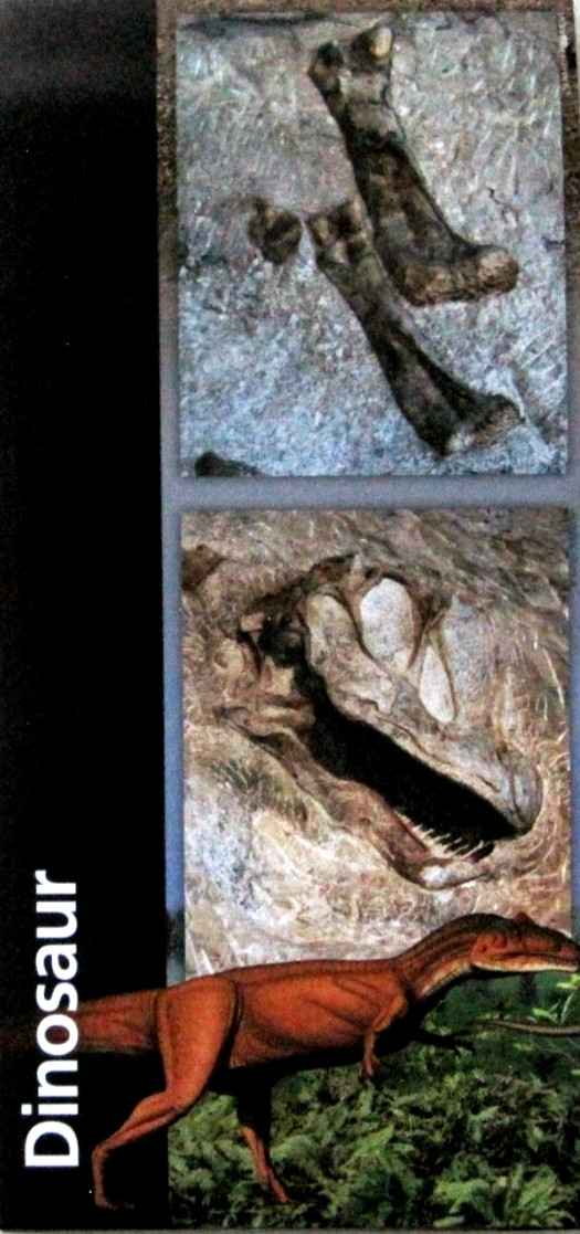 Dinosaur National Monument National Park Service Unigrid Brochure Map