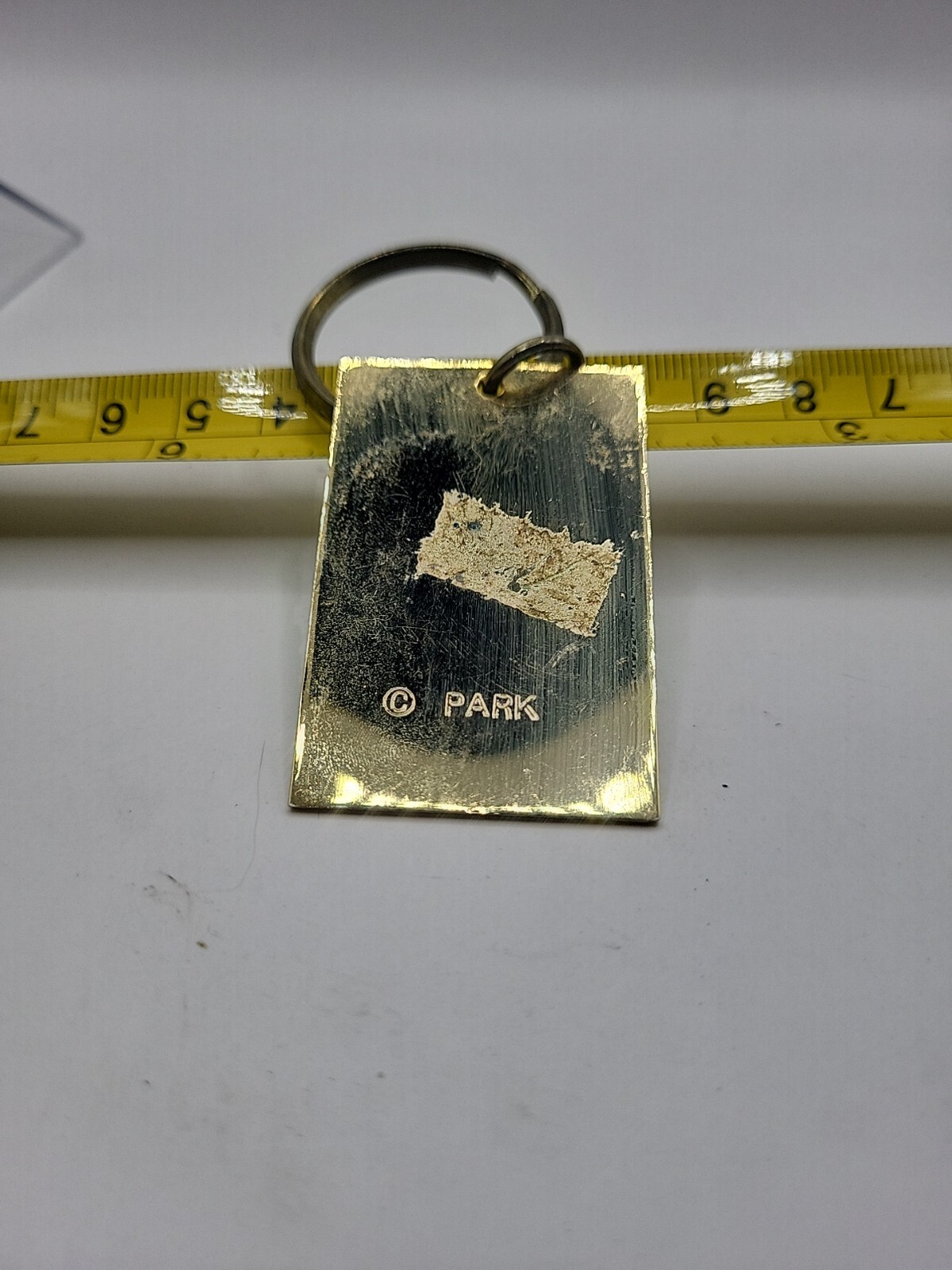 Vintage Glacier National Park Souvenir Keychain Fob Charm Mountains Trees Lake