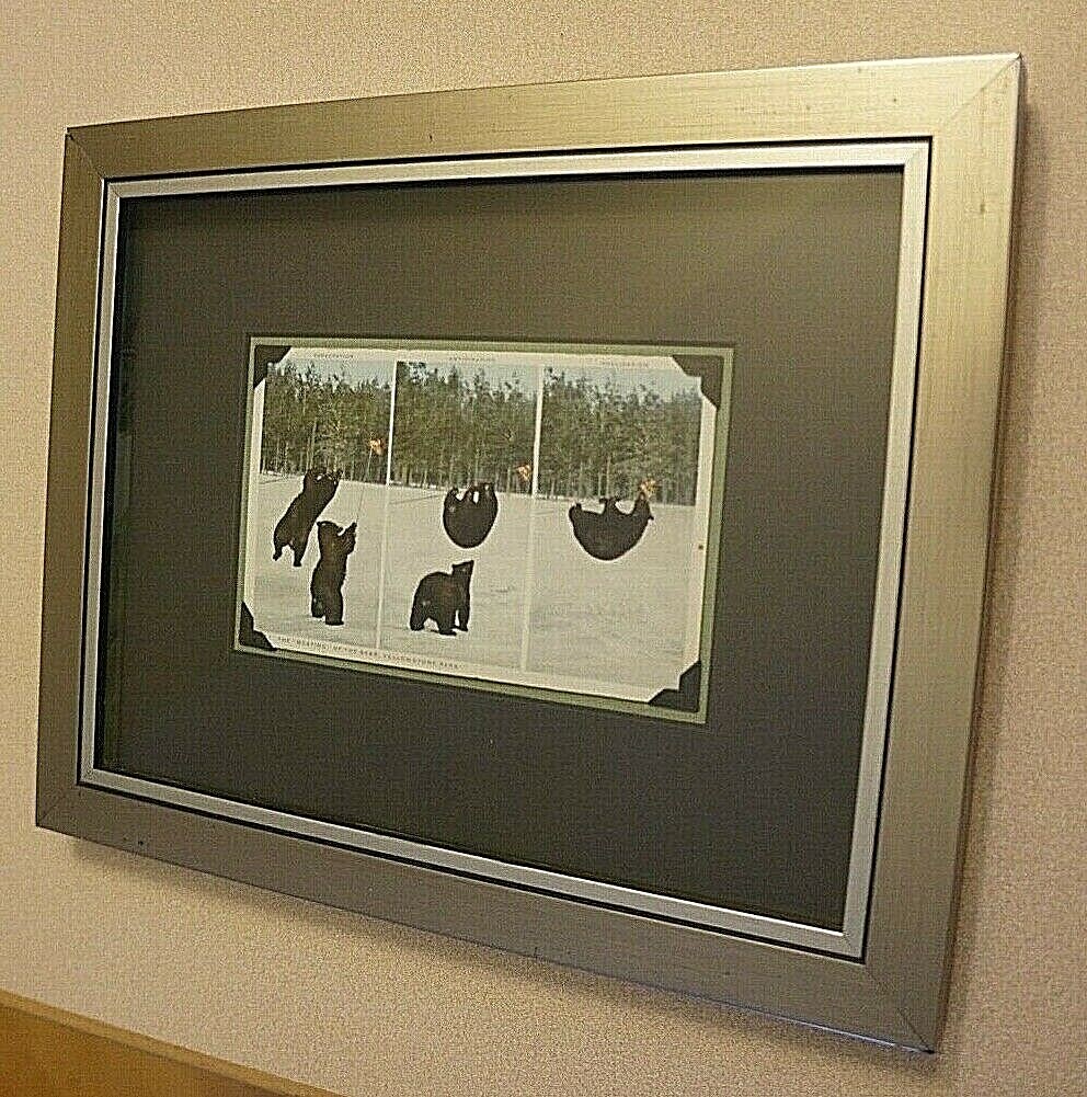 BEARS COOPERATING & USE TOOL Vintage RPPC Photo YELLOWSTONE NATIONAL PARK Frame!