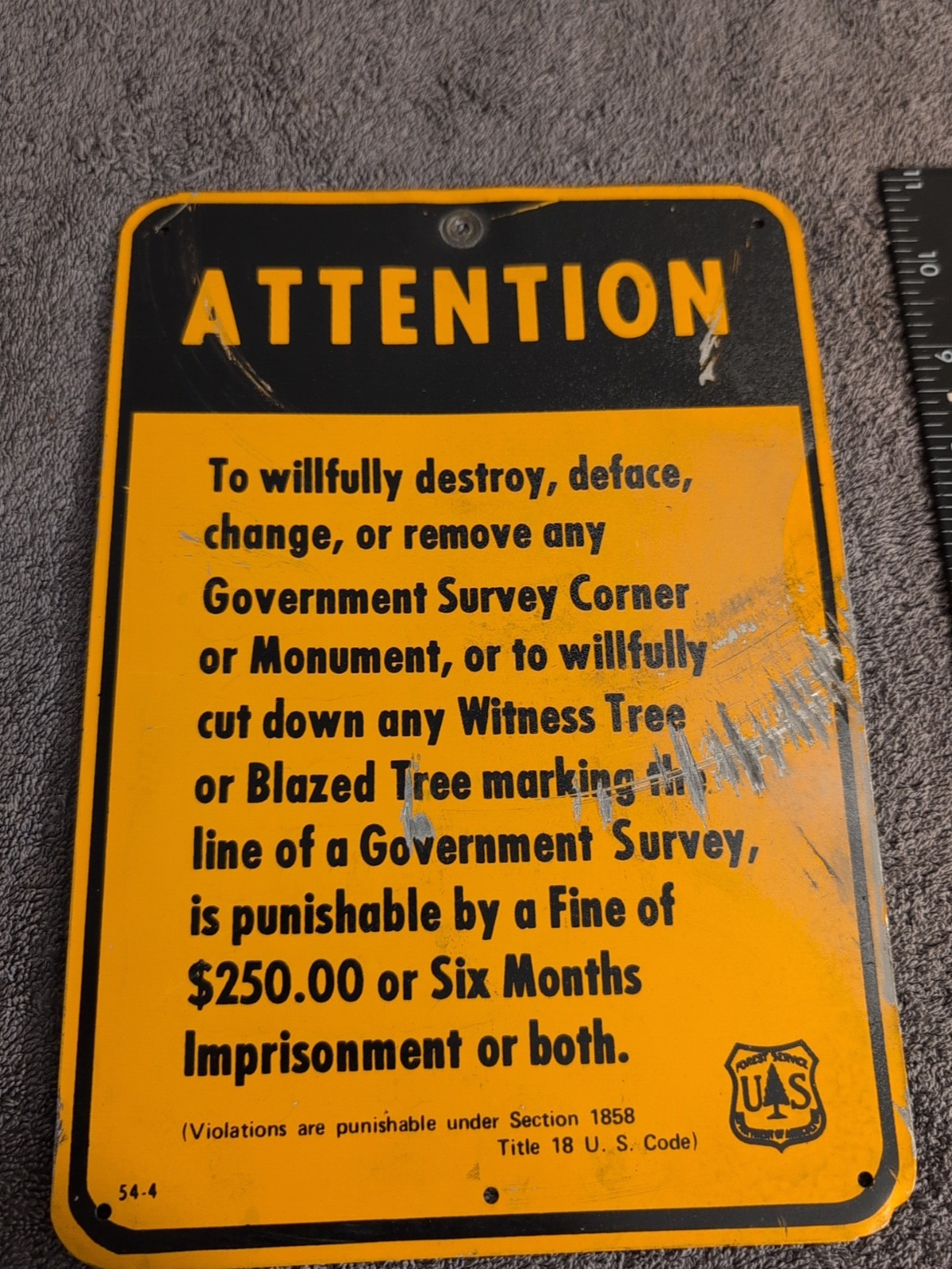 VINTAGE SIGN GOVERNMENT SURVEY CRIMINAL WARNING US FOREST SERVICE DEPARTMENT