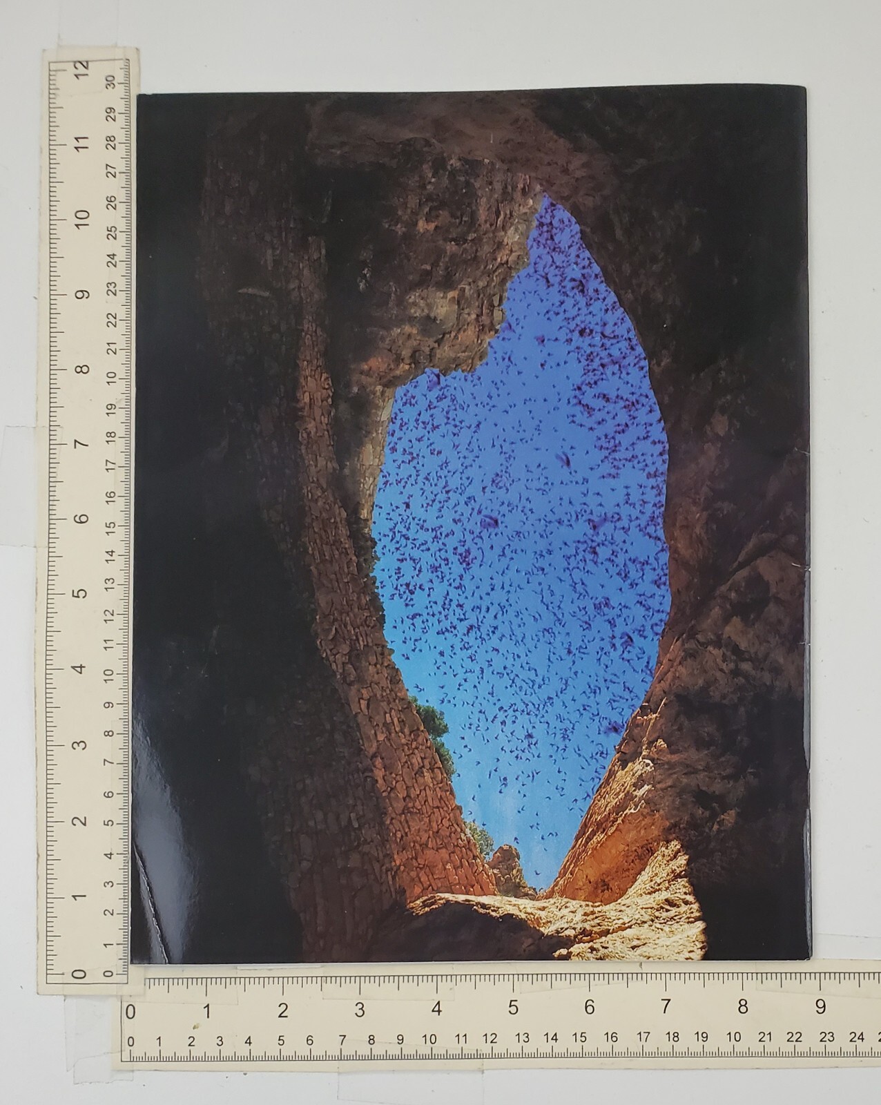 1967 Carlsbad New Mexico Caverns National Park Vintage Souvenir Pictorial Book