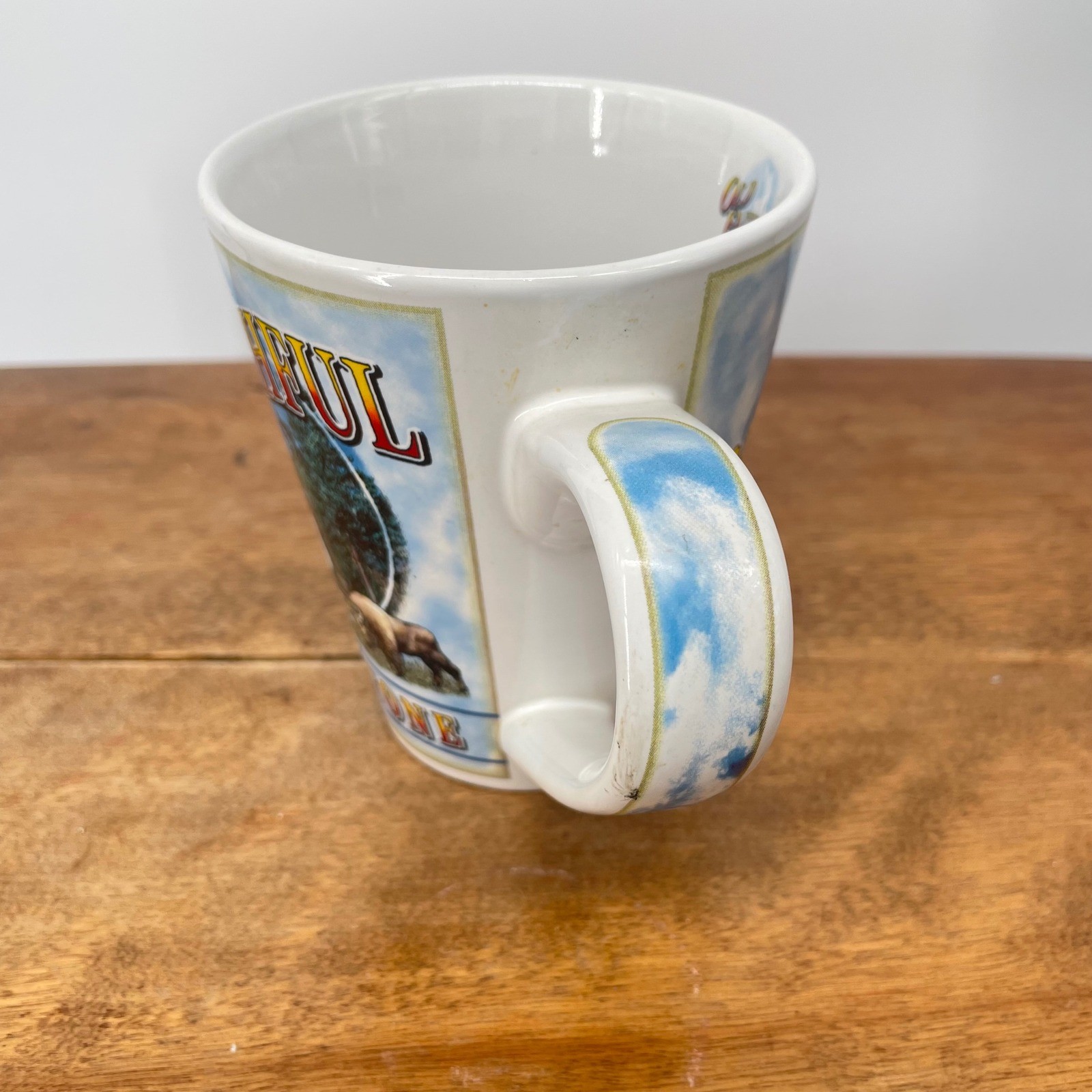 Polar Graphics Old Faithful Yellowstone Collage Mug 2007 Collectible Souvenir
