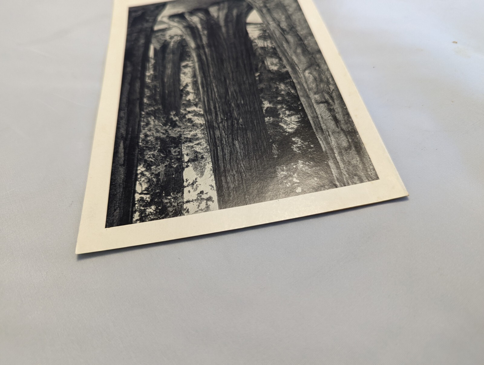 YOSEMITE AHWAHNEE MENU Jul 4 53 5.5×8.5″ Ansel Adams Mariposa Grove