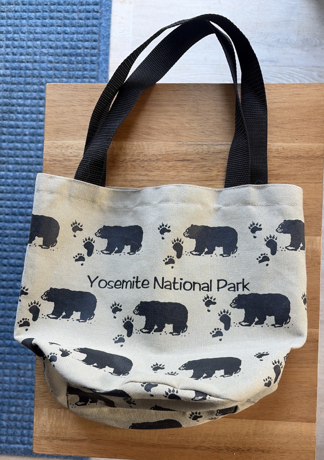 VTG Rare Find! YOSEMITE National Park Small Bag Pouch Purse For Adult Or Child