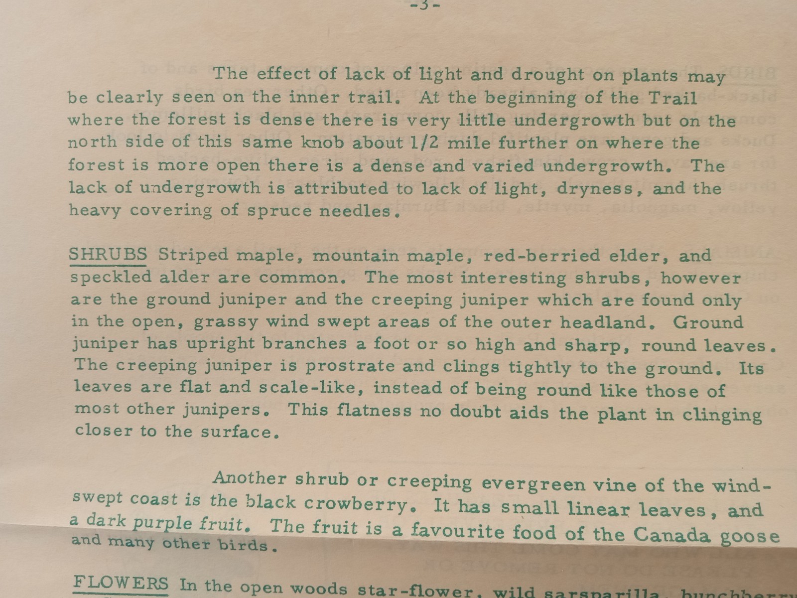 Cape Breton Highlands National Park 1968 MIDDLE HEAD NATURE TRAIL Pamphlet