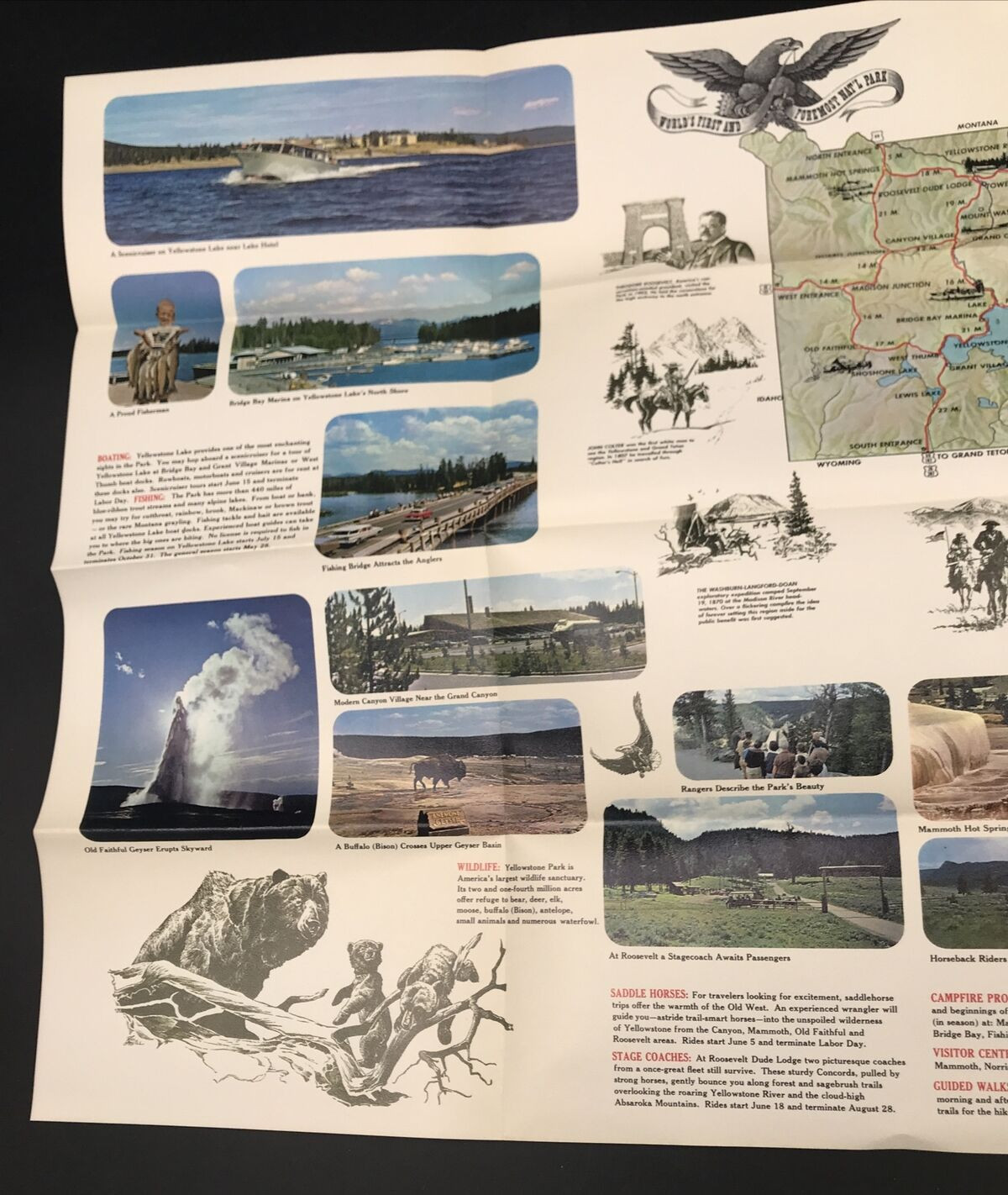 VTG 1967 Yellowstone National Park Brochure & Map Vinyl Castle Geyser