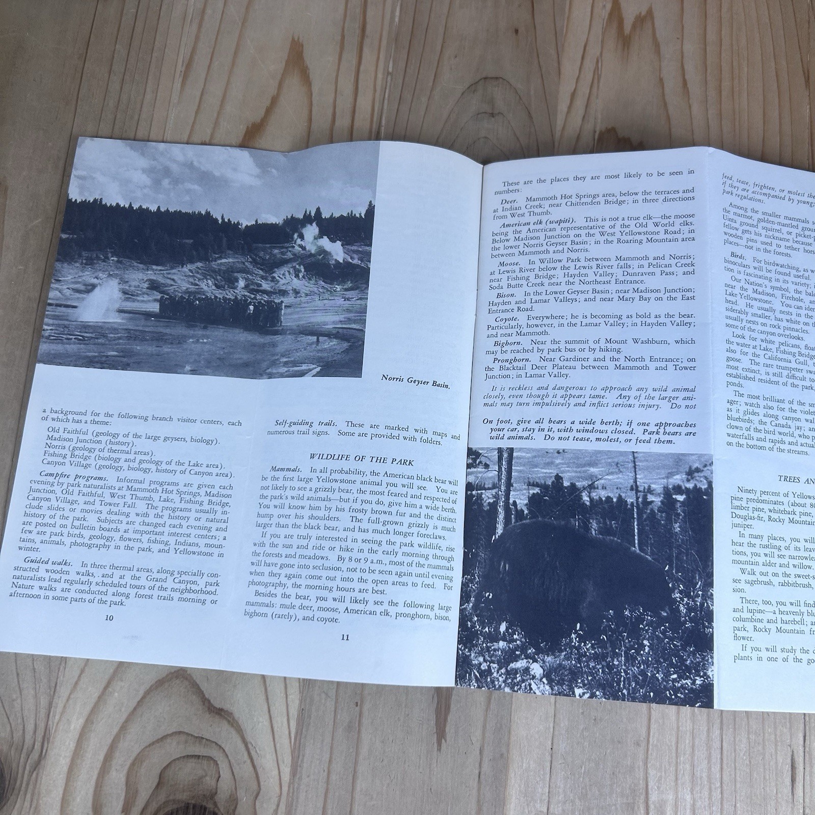 Yellowstone National Park Tourist Brochure 1962 WY Montana Idaho Black White