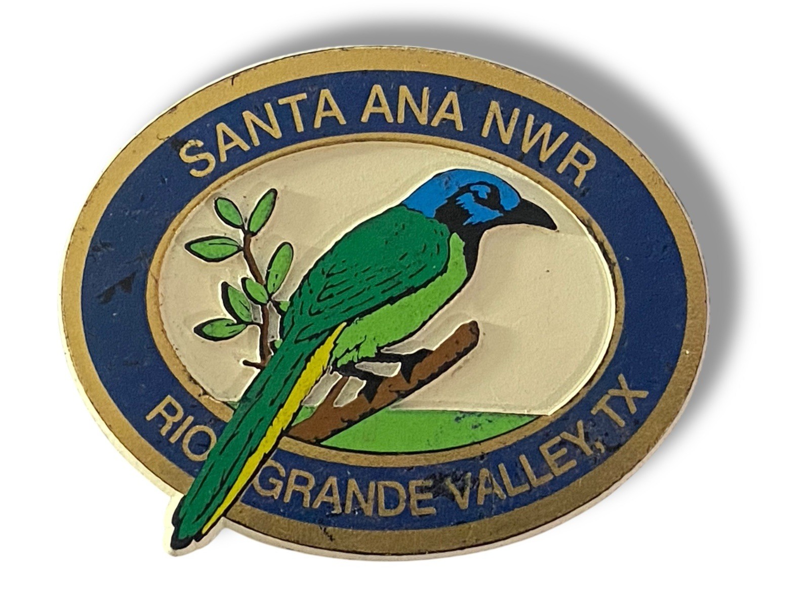 Santa Ana National Wildlife Refuge Rio Grande Valley TX Souvenir Fridge Magnet