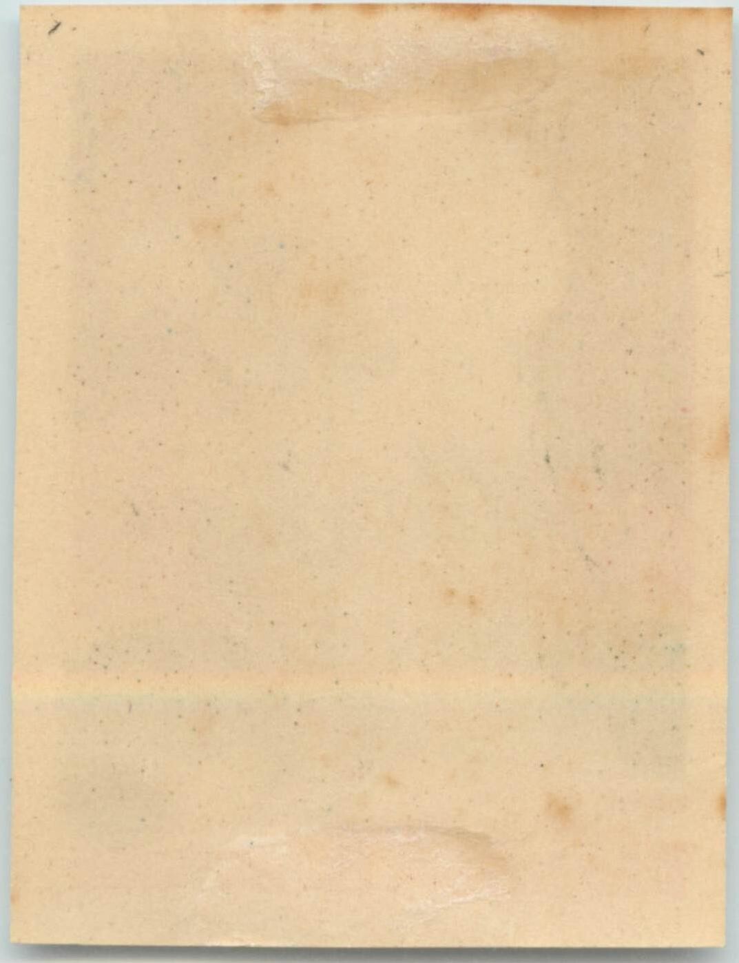 YELLOWSTONE NATIONAL PARK – Beautiful Old Advertising Poster Stamp / Label 1950