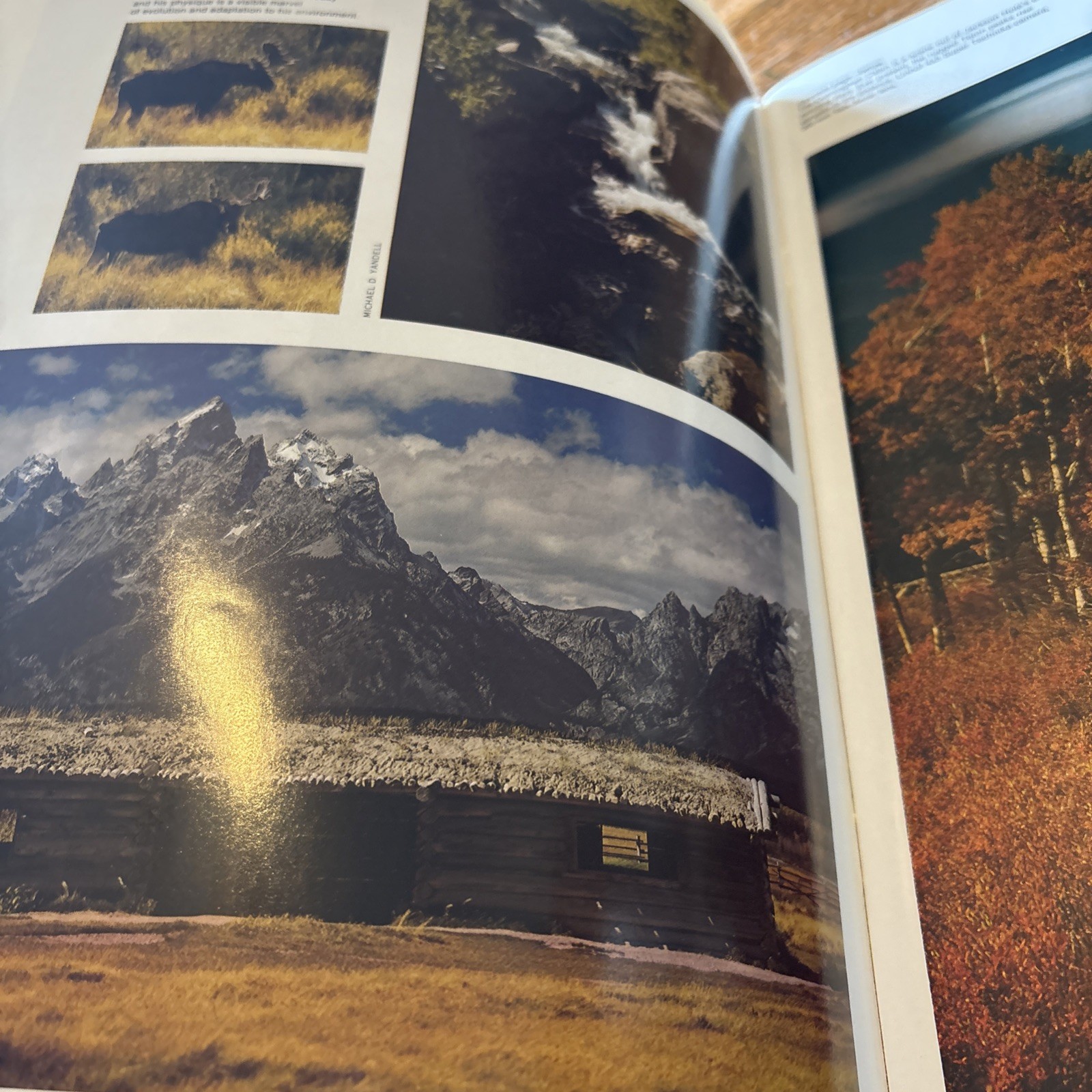 NATIONAL PARKWAYS GRAND TETON Softcover Book Michael Yandell 1976 Photos