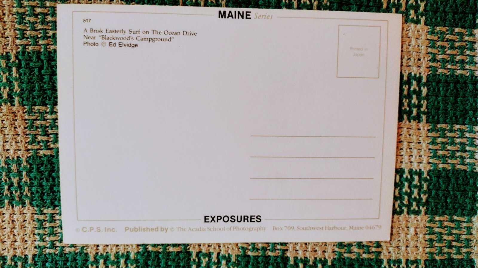 POST CARD BEAUTIFUL BLACK WOODS ACADIA NATIONAL PARK MAINE.