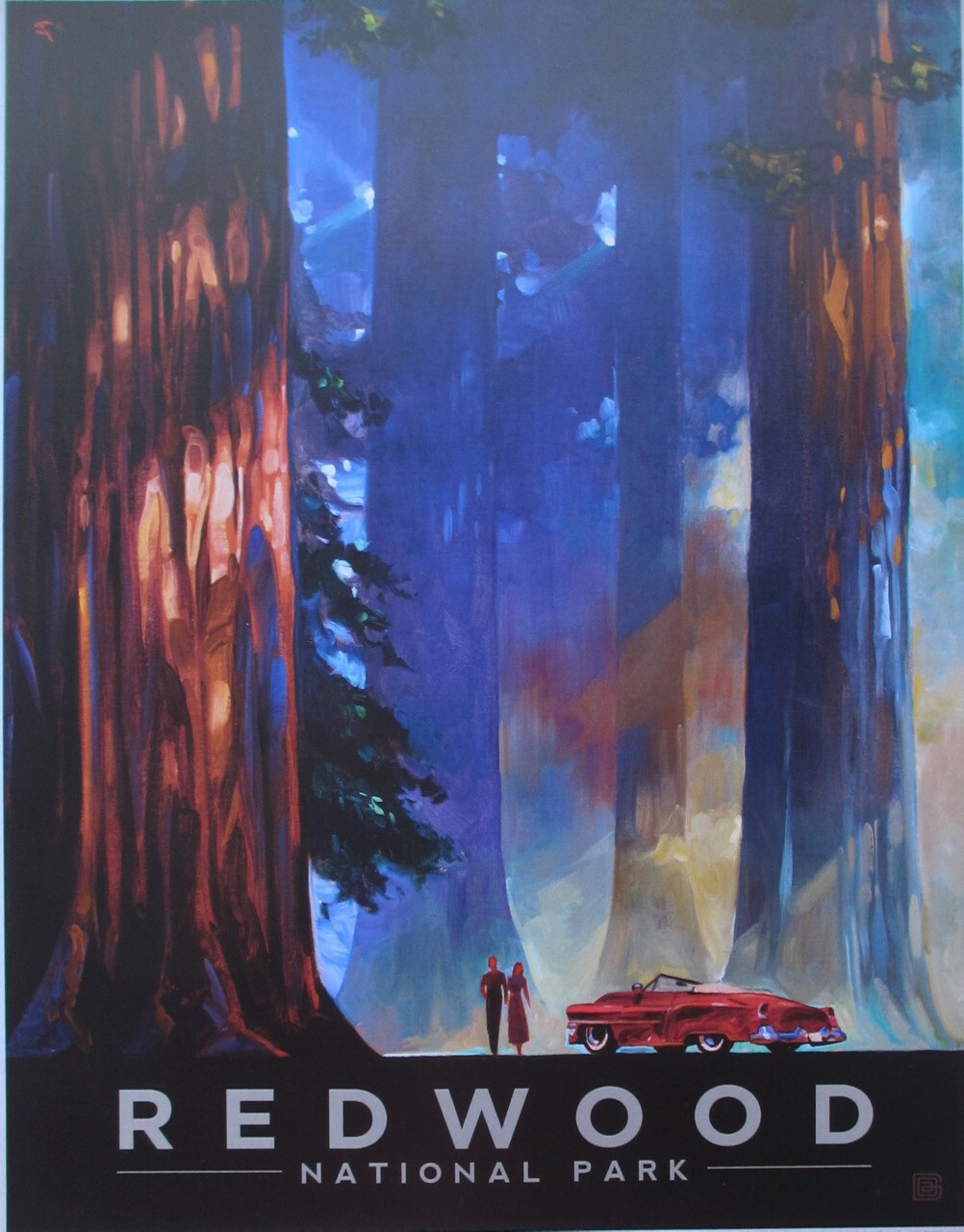 Redwood National Park Art Print 11×14