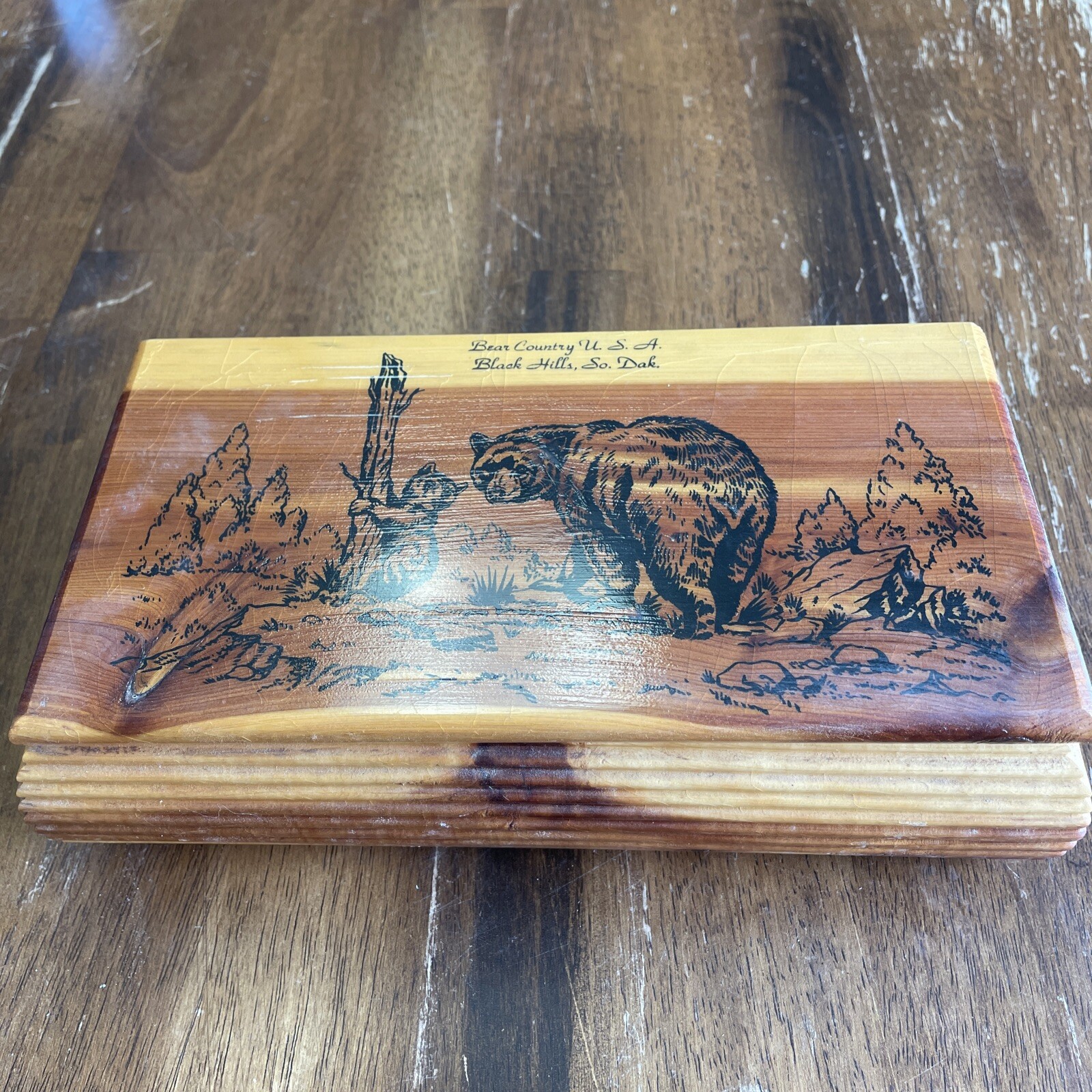 Bear Country, Blk Hills, SD CEDAR WOOD HINGED TRINKET BOX MAMA BEAR WITH CUB VTG