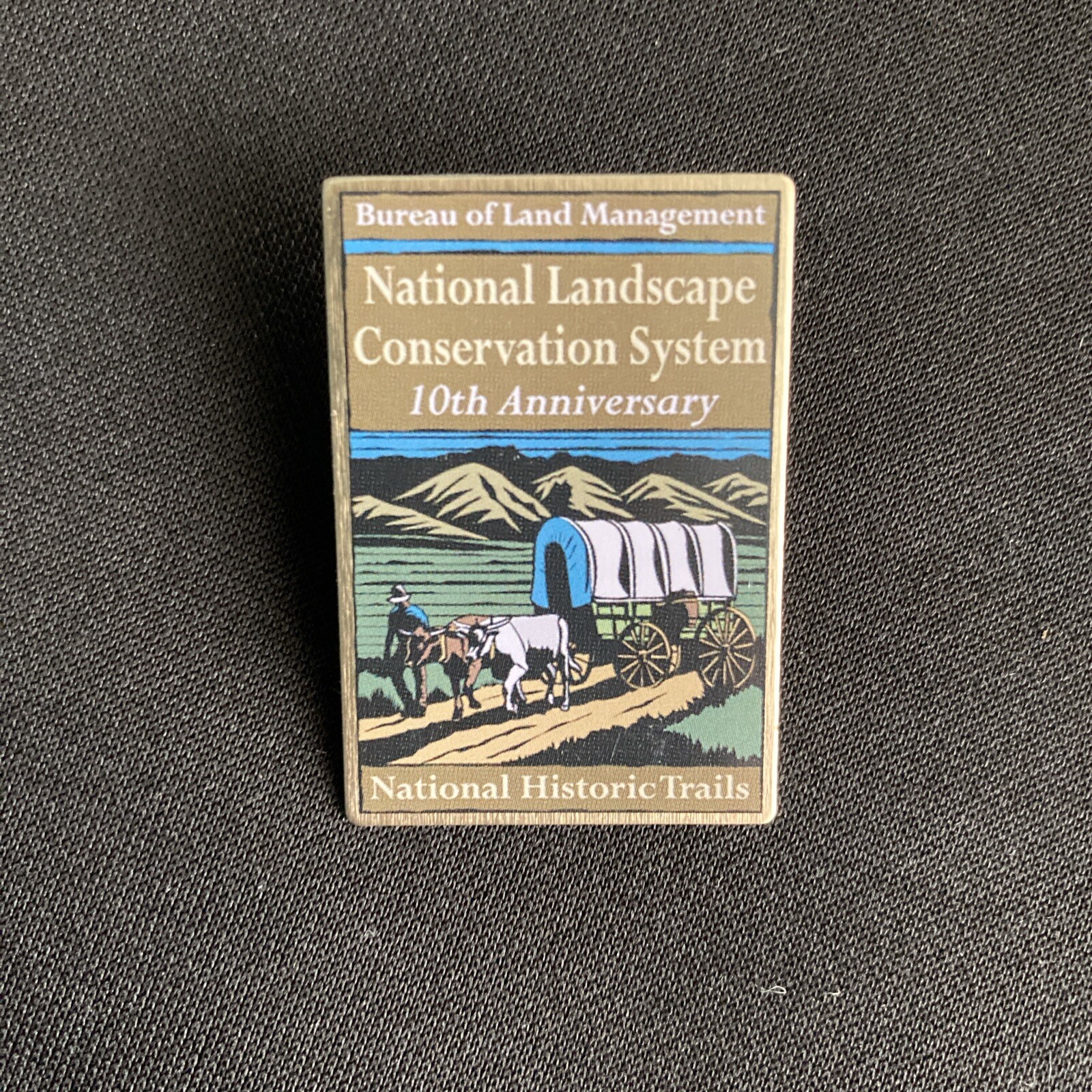 National Landscape Conservation System Lapel Pin Historic Trails 10th Anniv BLM