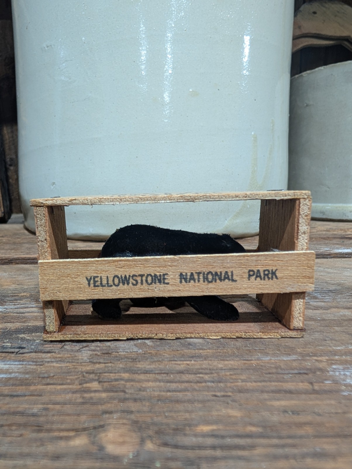 HERE’S A BEAR I COUGHT “JUST FOR YOU” Yellowstone National Park Sovioner.