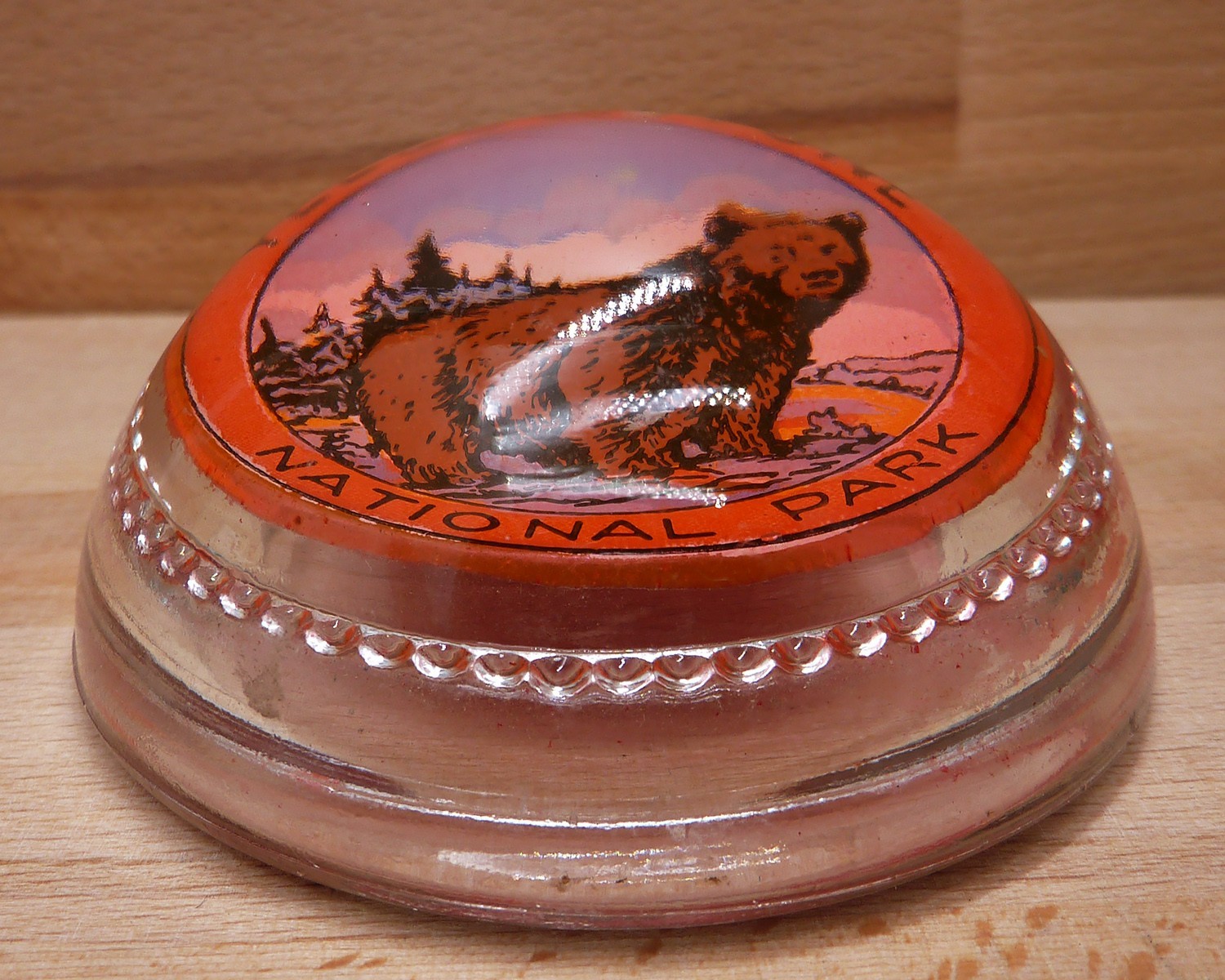 Vintage Round Glass Souvenir Paperweight Yellowstone National Park -Grizzly Bear