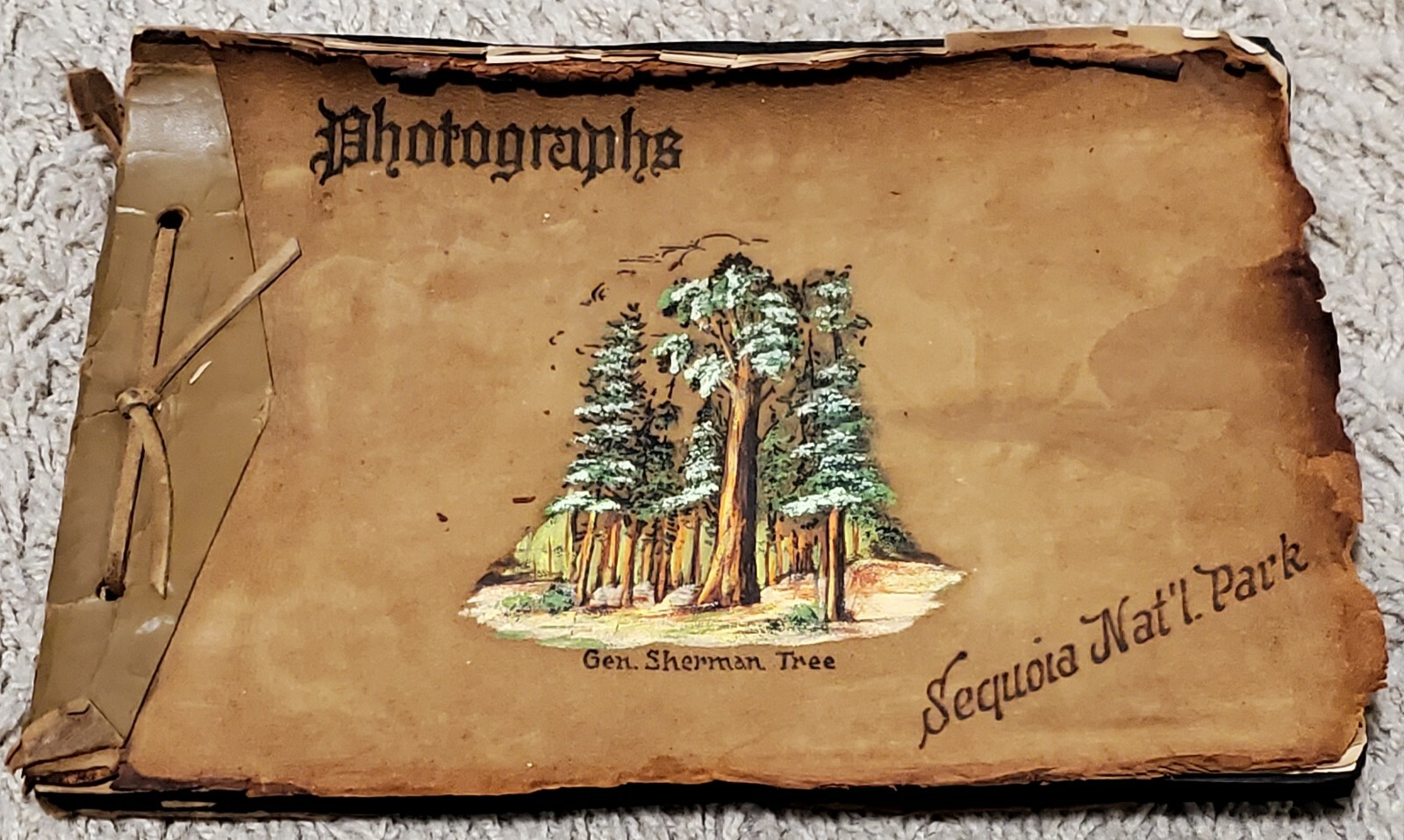 Vintage 1900’s Leather Photo Album B/W Photos Sequoia Nat’l. Park Gen. Sherman