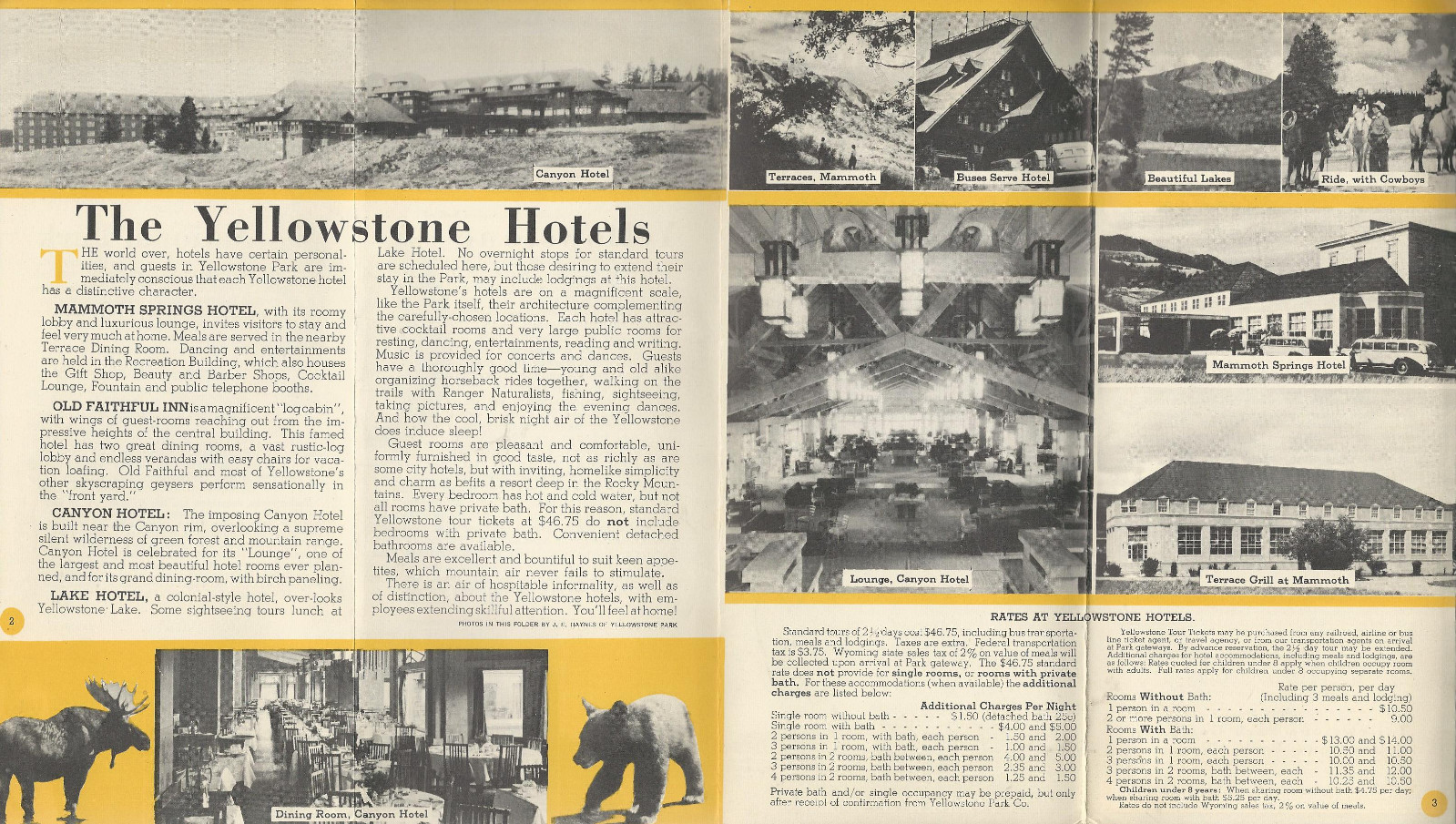 Yellowstone National Park 1953 Foldout Brochure Lodging Photos Tours Small Map
