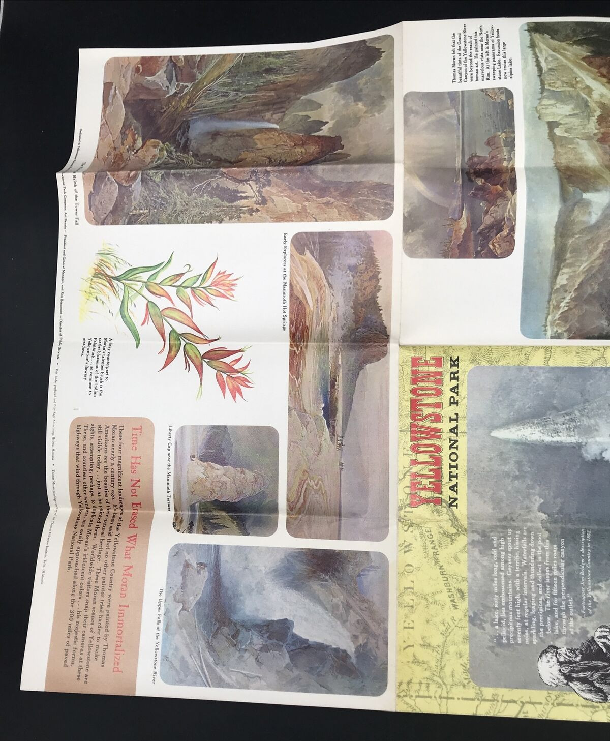VTG 1967 Yellowstone National Park Brochure & Map Vinyl Castle Geyser