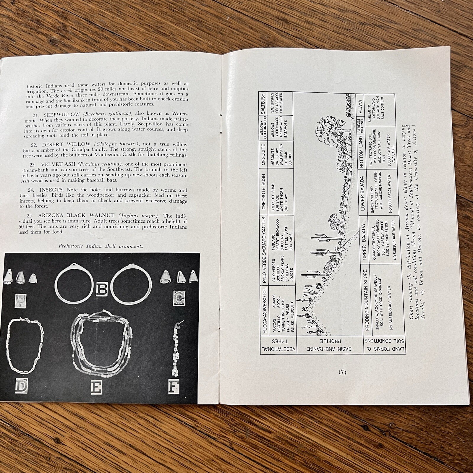 SYCAMORE TRAIL MONTEZUMA CASTLE NATIONAL MONUMENT GUIDE BOOK 1957