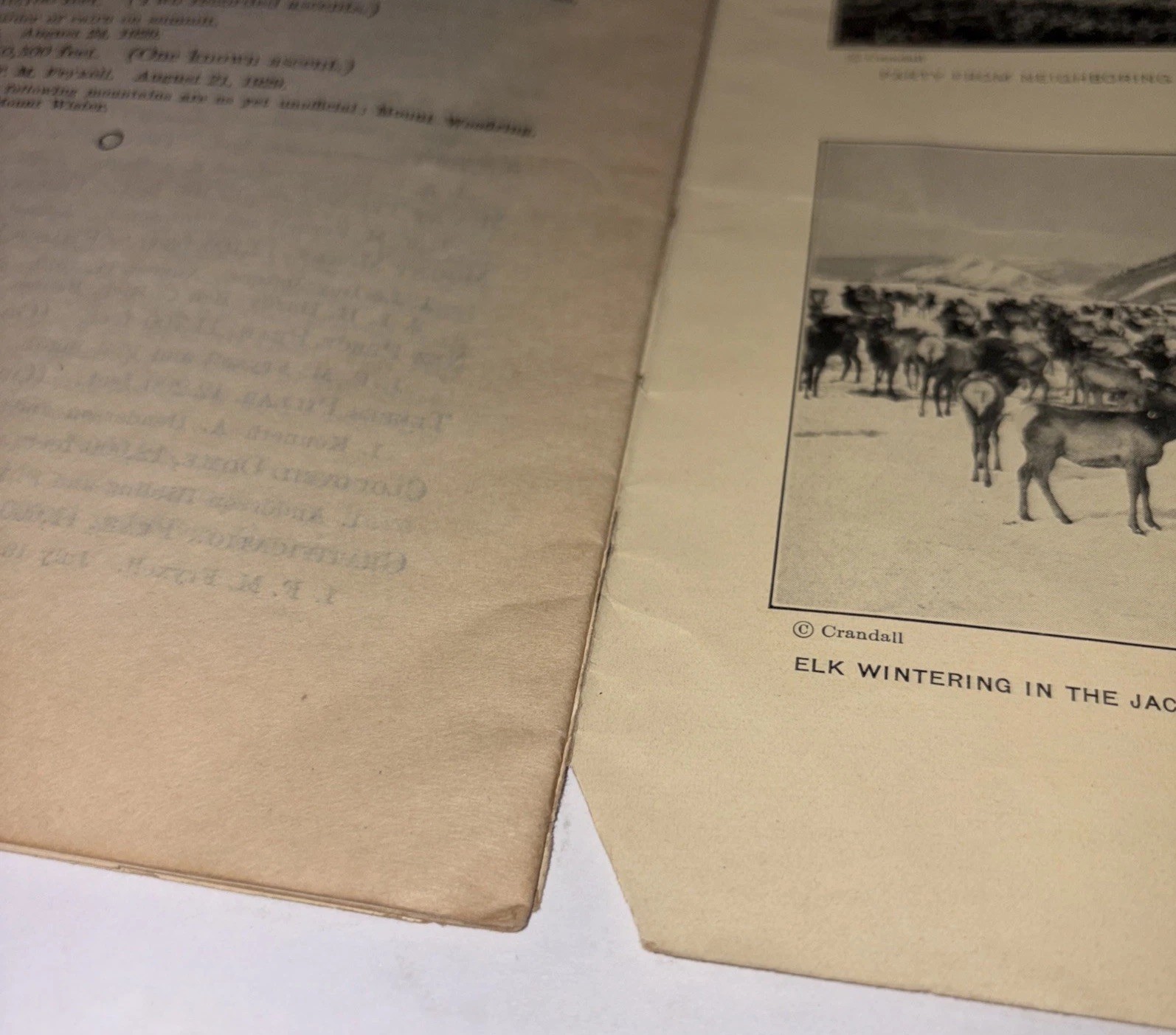 Grand Teton National Park Wyoming 1932 June To Sept Season Pamphlet Brochure