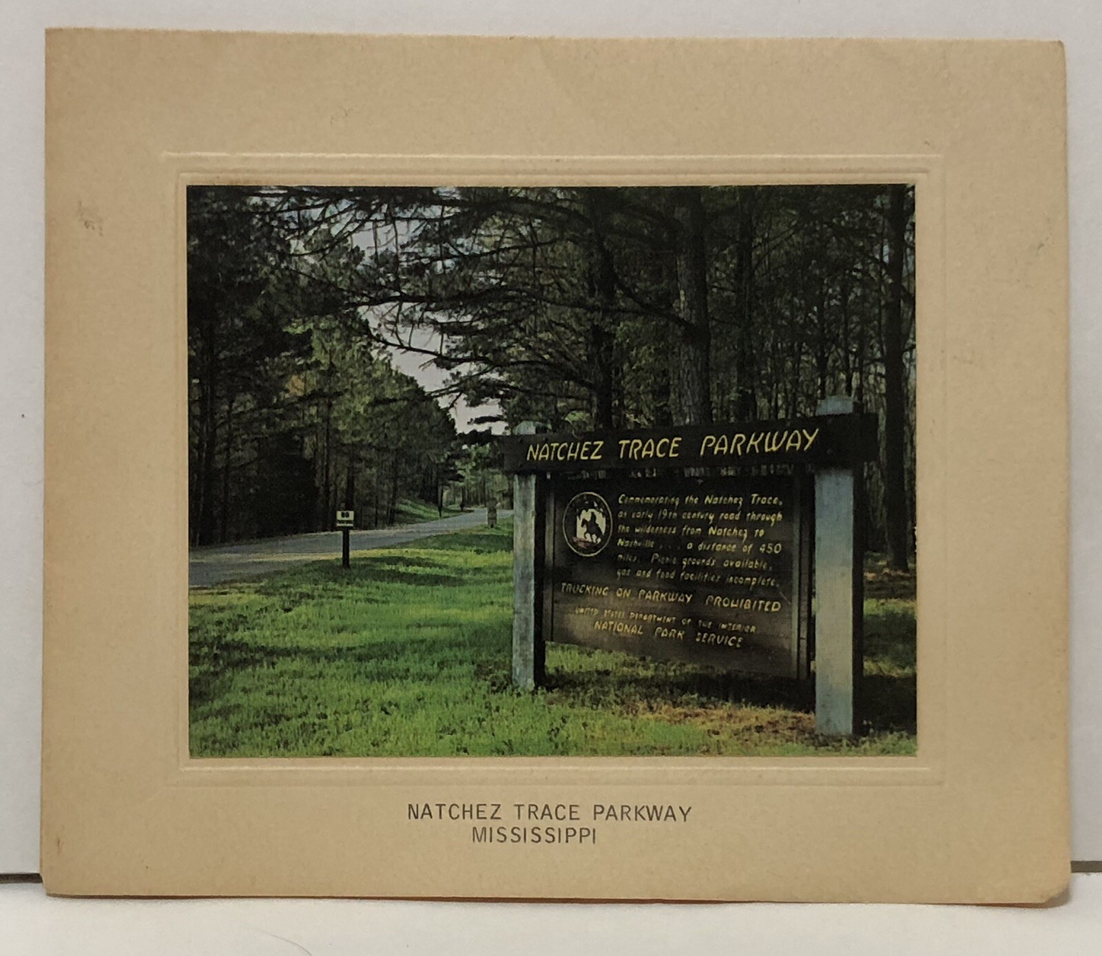 Vintage NATCHEZ TRACE PARKWAY Mississippi National Park Folding Card