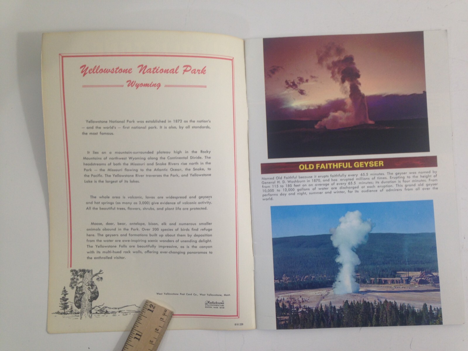 Vintage Yellowstone National Park brochure pamphlet tour guide souvenir vacation