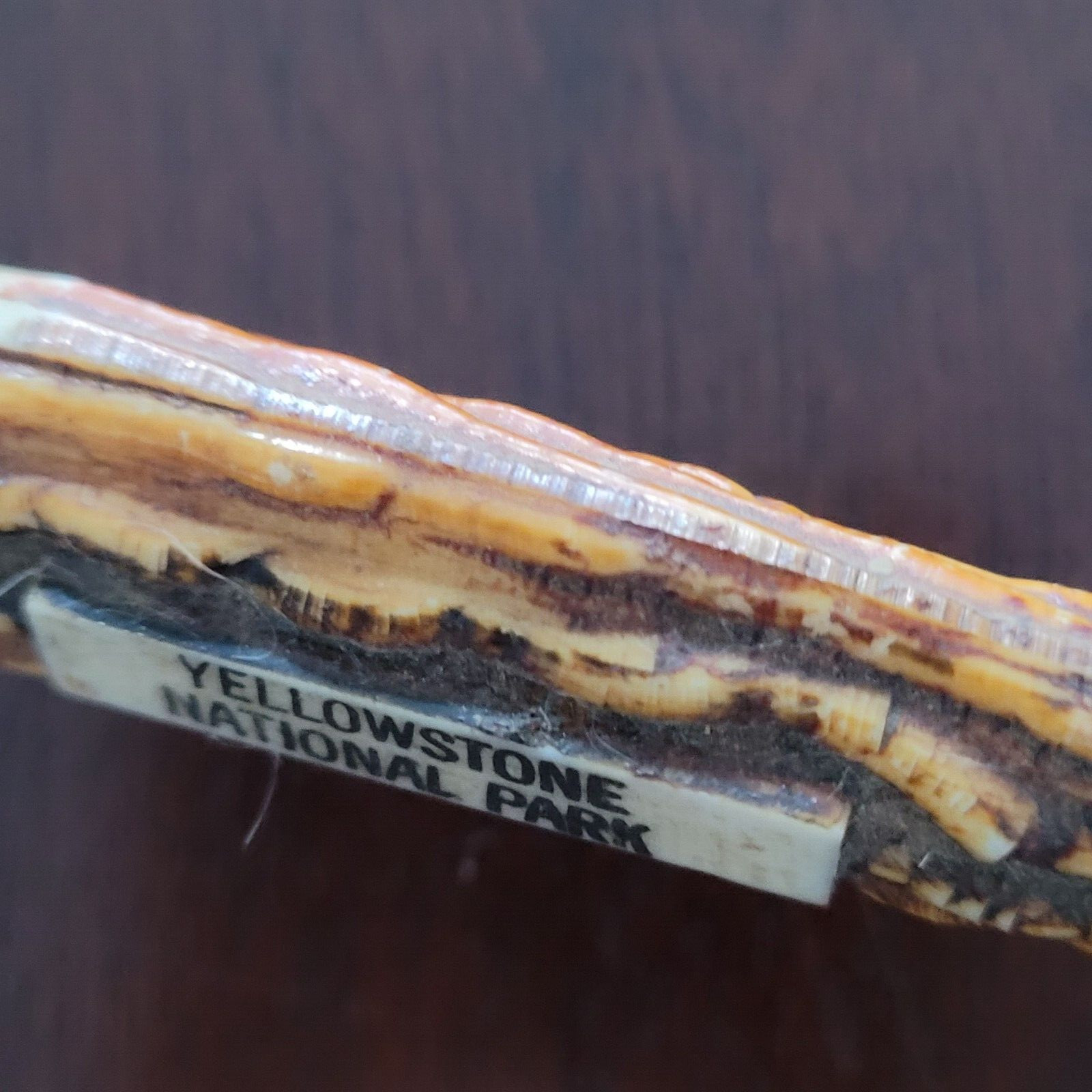Vtg 70s YELLOWSTONE NATIONAL PARK Letter Opener Faux Antler PC Stainless Steel