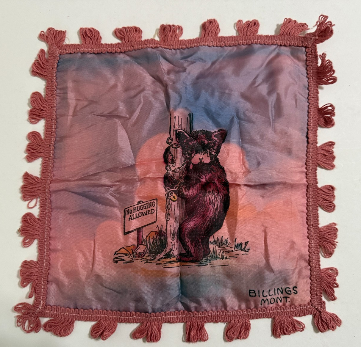 Leave Wildlife Alone NPS Campaign Small Pillowcase No Hugging Bear Billings Mont