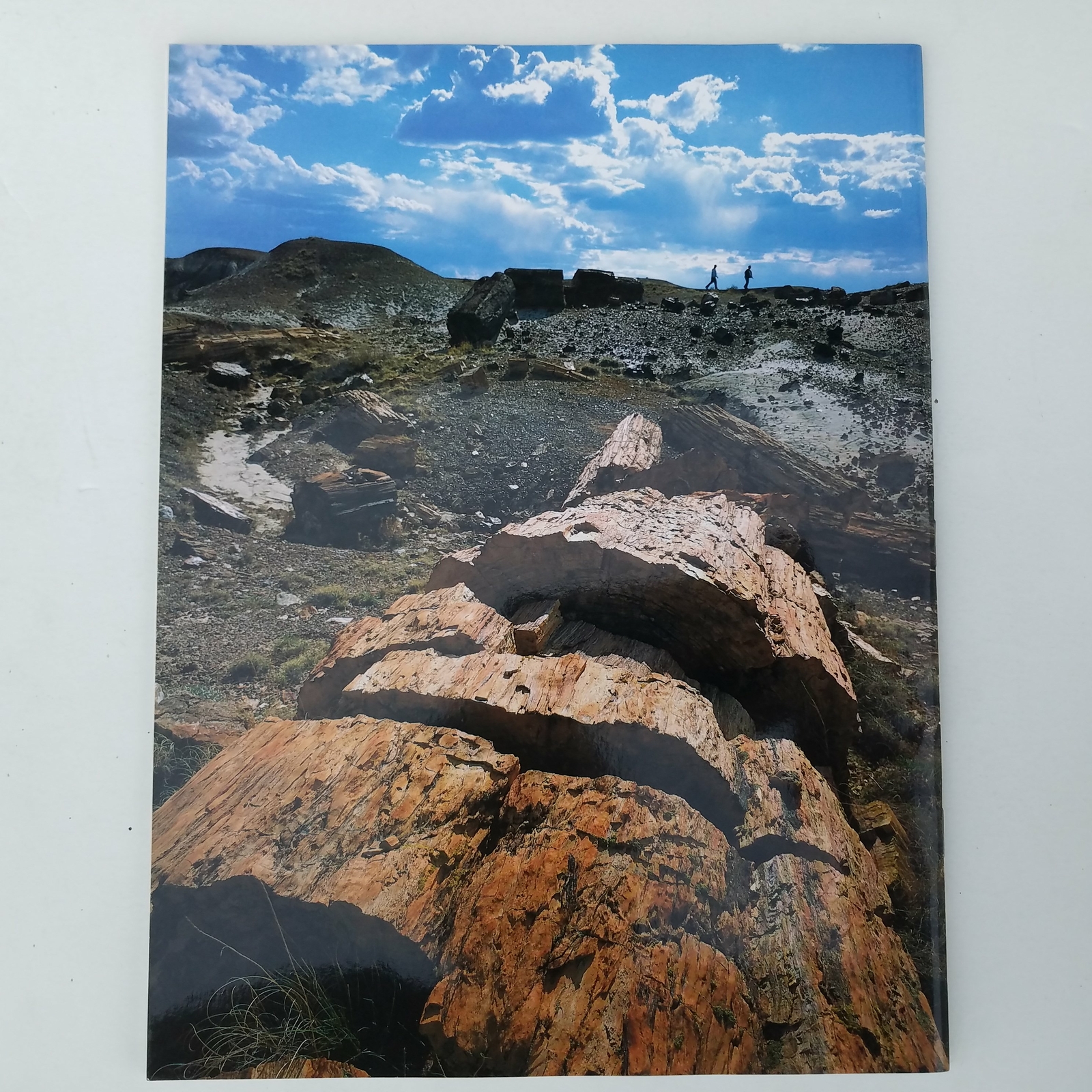 Petrified Forest – The Story Behind The Scenery 1985