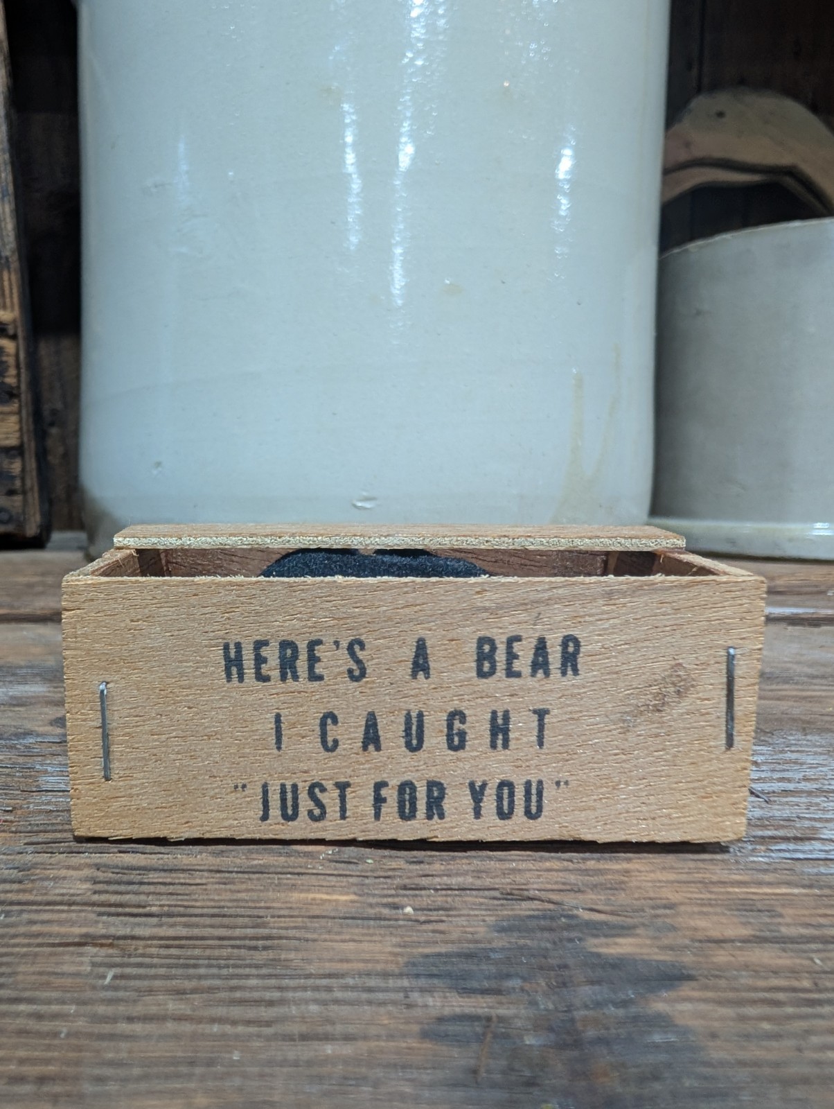 HERE’S A BEAR I COUGHT “JUST FOR YOU” Yellowstone National Park Sovioner.
