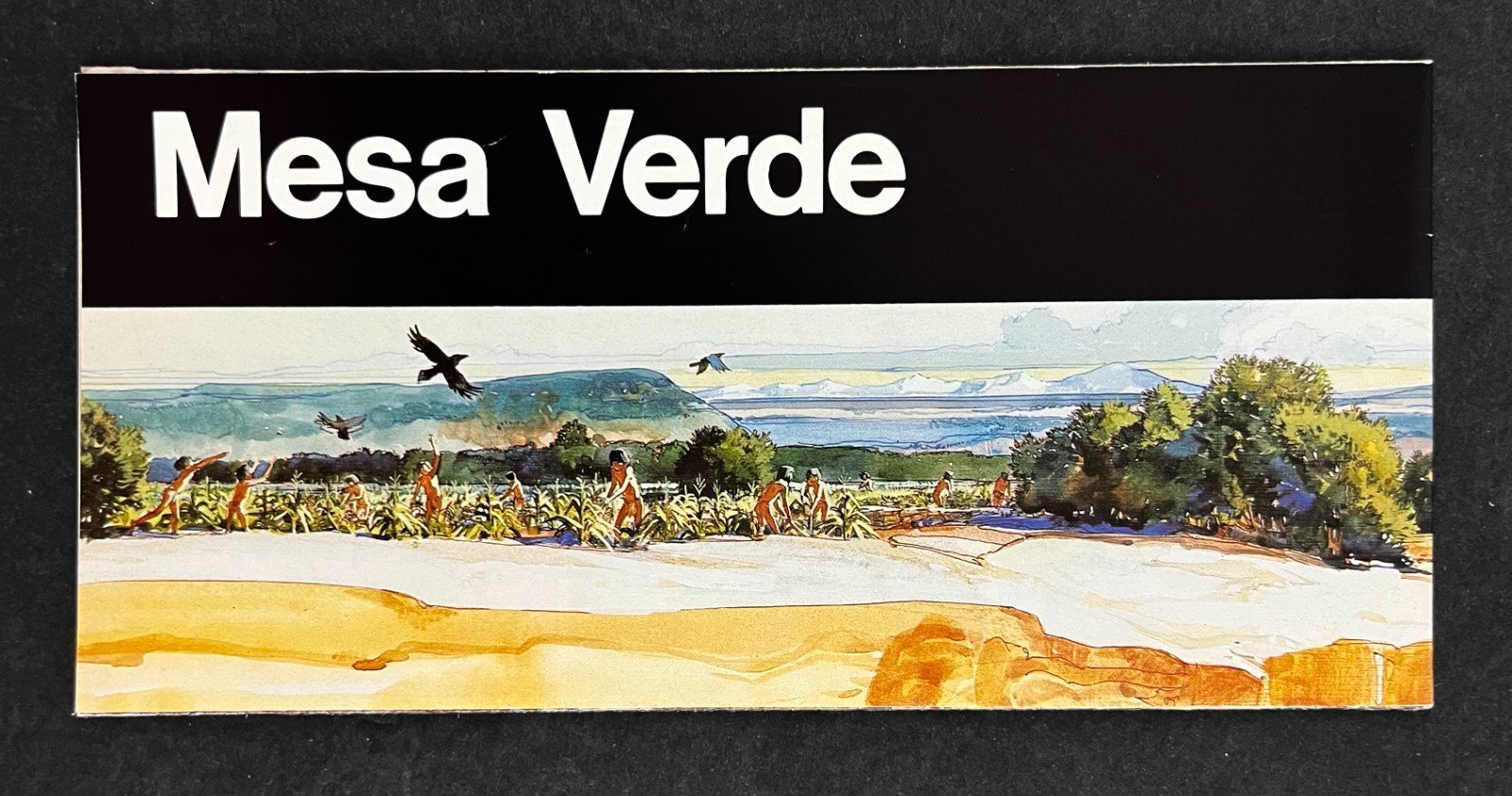 1988 Mesa Verde Colorado National Park Service Guide Map Vintage Travel Brochure