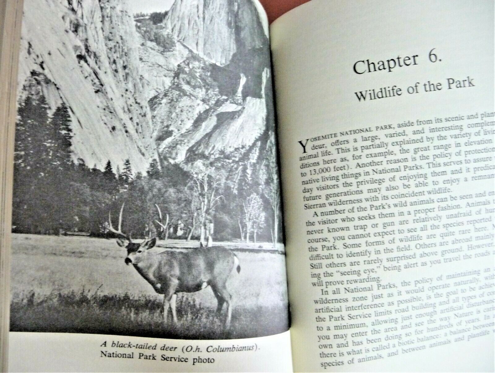 Illustrated California Yosemite National Park Muir Story Geology Glacier Trails