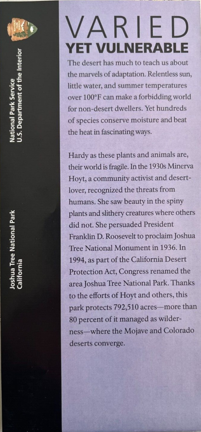 New JOSHUA TREE NP – CA NATIONAL PARK SERVICE UNIGRID BROCHURE/MAP GPO 2024