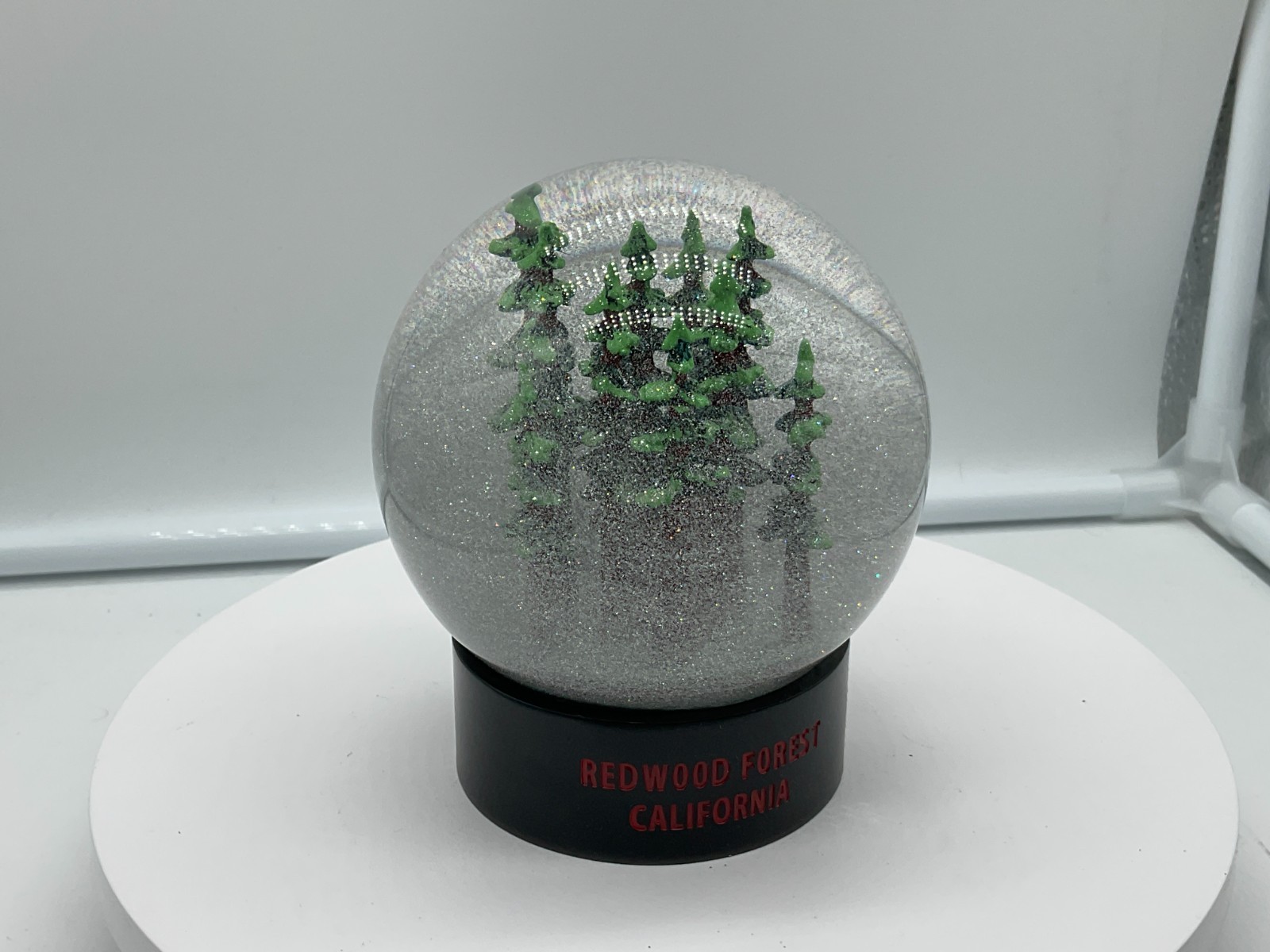 Redwood Forest California Fog Globe National Parks Conservancy Award Winner NIB