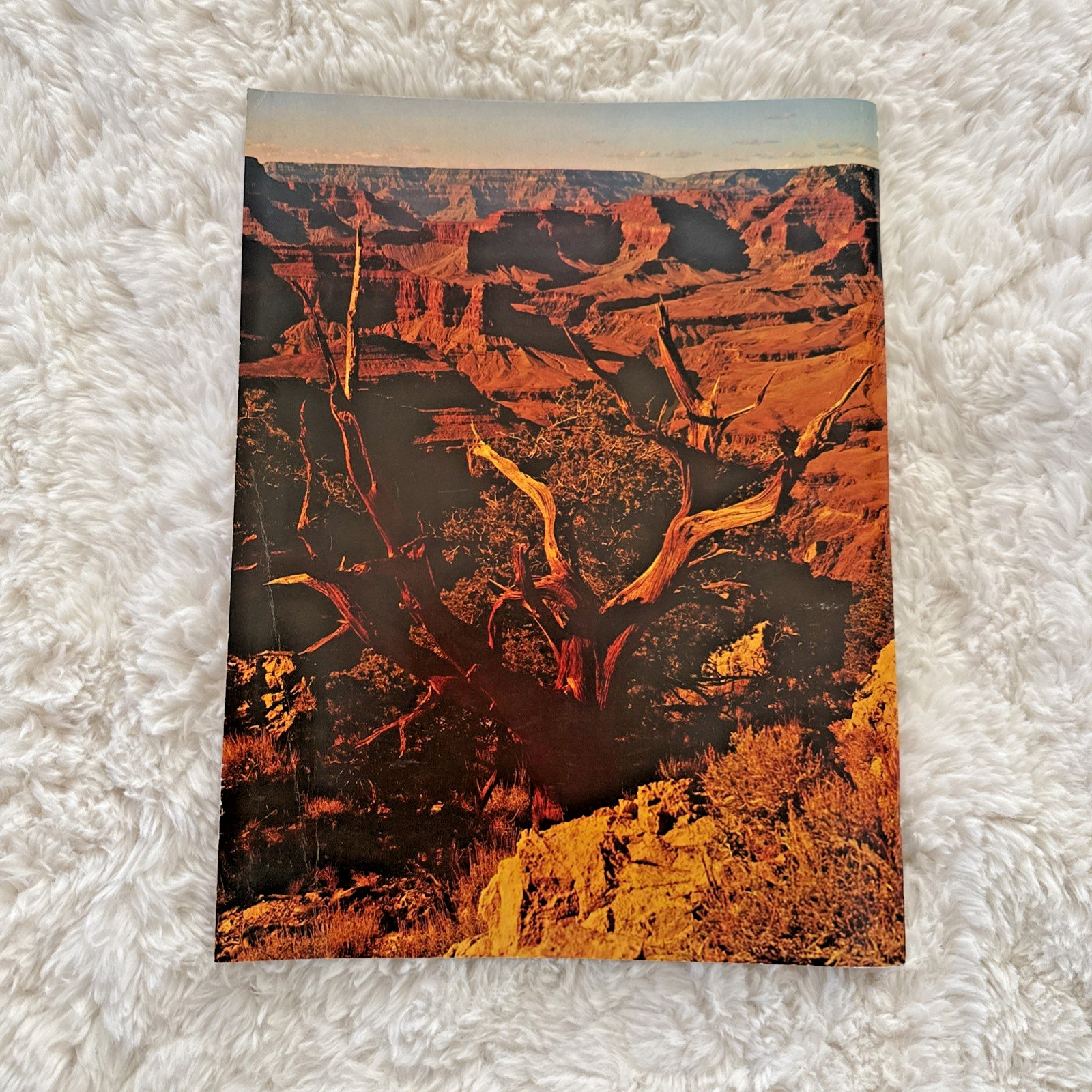 Photographs Grand Canyon Guide Book National Parkways National Park Vintage 1977