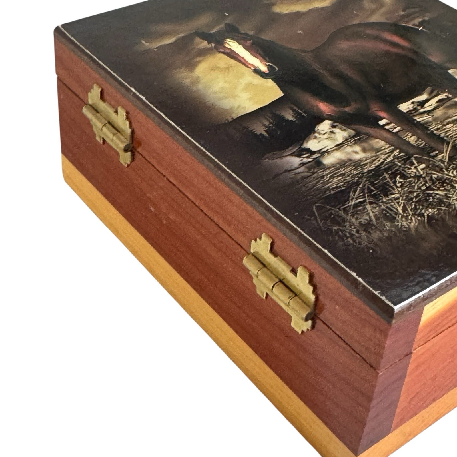 Vintage Lake Placid New York Wood Cedar Box Standing Horse Hinged Souvenir Box