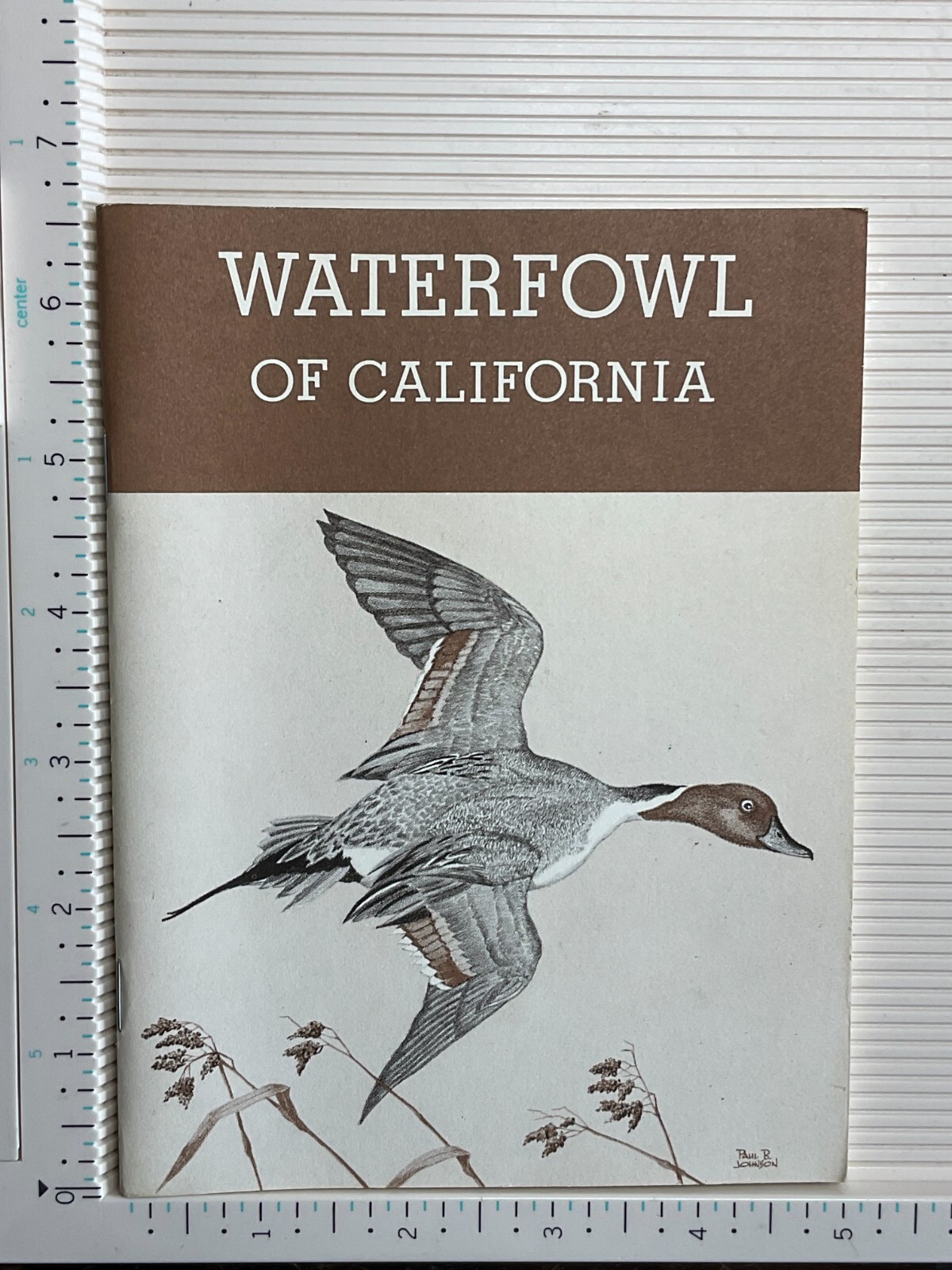 1970s Big Game-Waterfowl-Furbearers Pamphlets-California Dept of Fish & Game-4