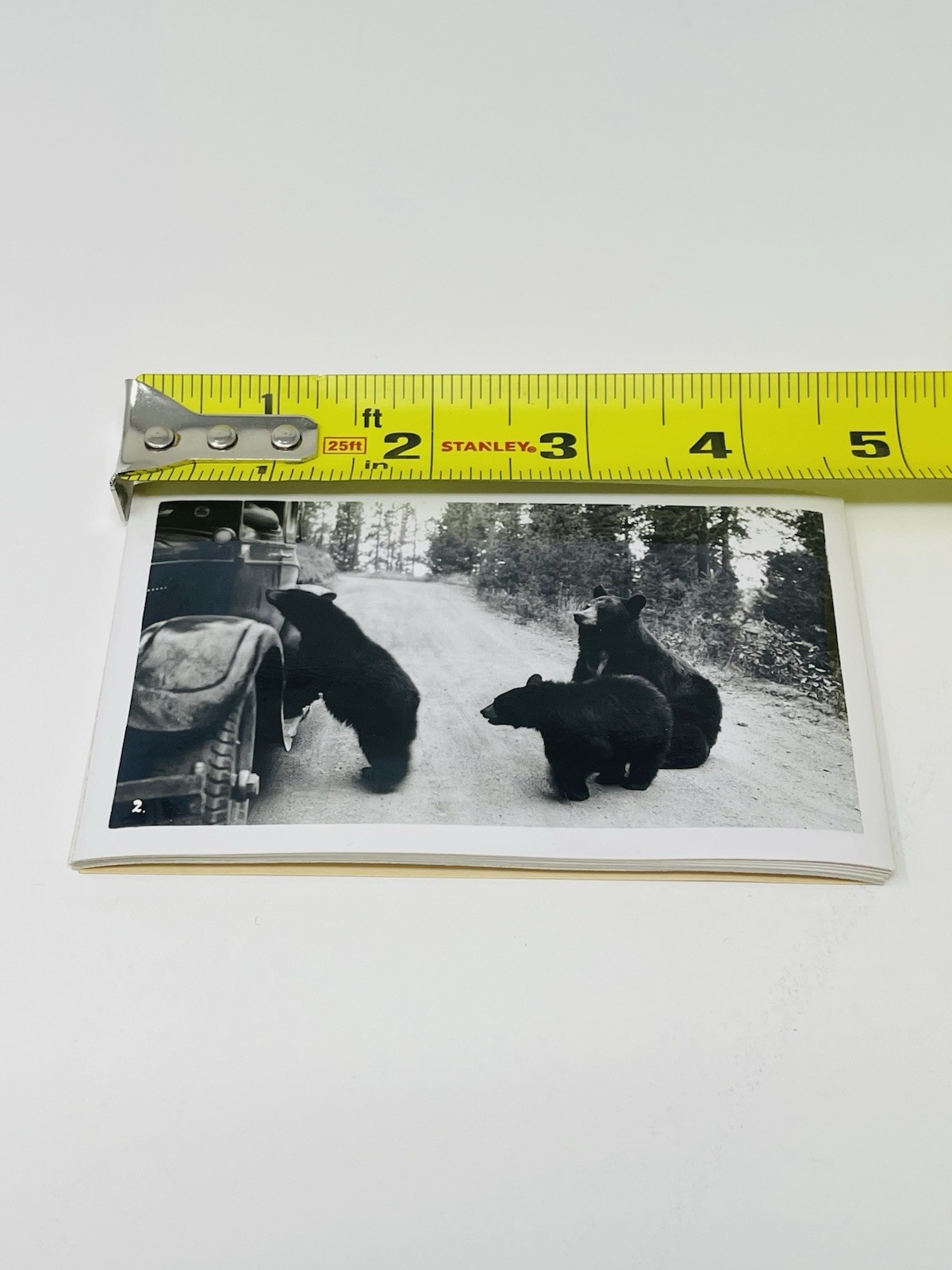 1930s Yellowstone National Park Sanborn Souvenir Views Photos Mailer