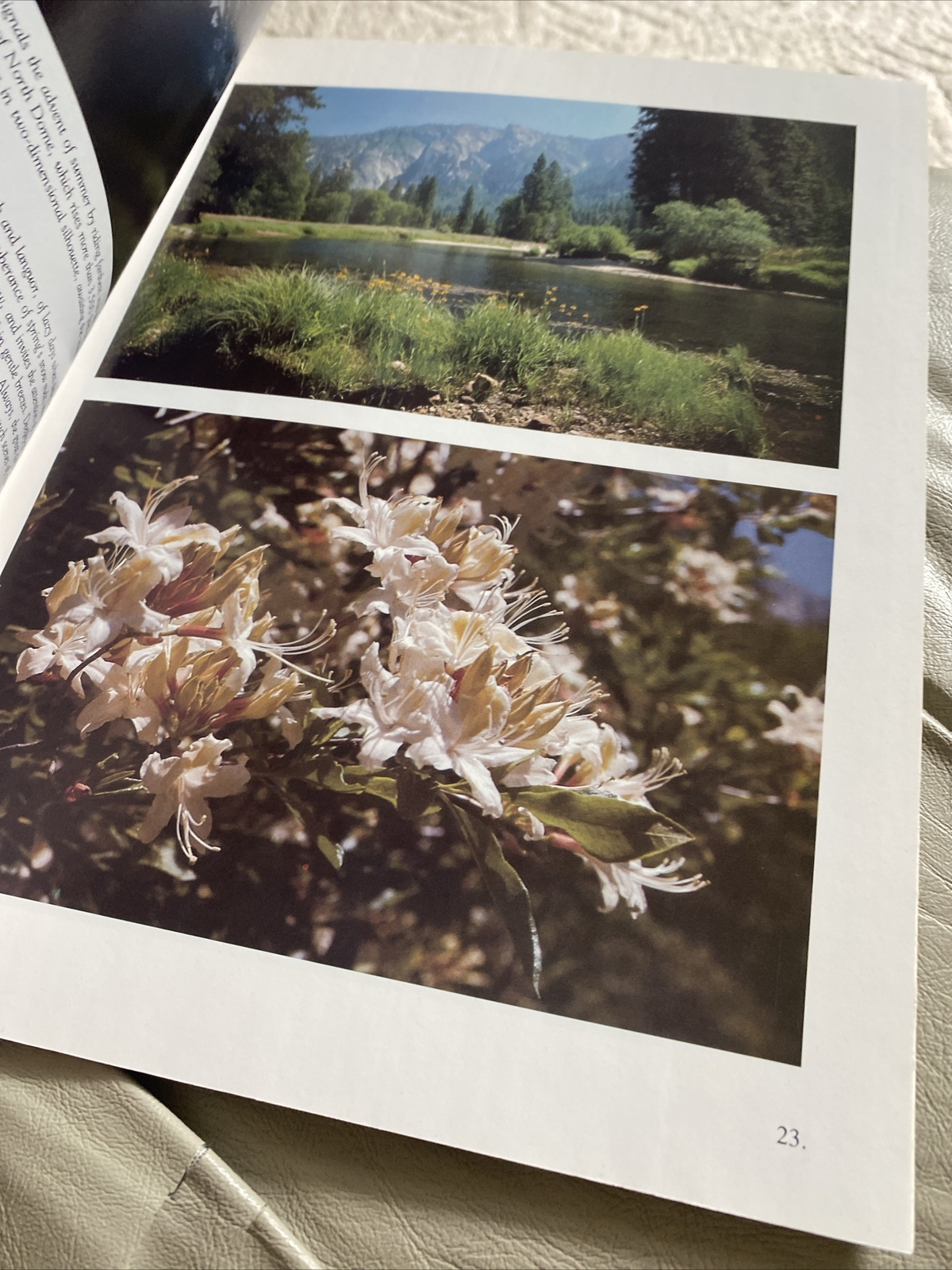 VINTAGE 1978 National Park Booklet THE FOUR SEASONS OF YOSEMITE Morgenson Photos