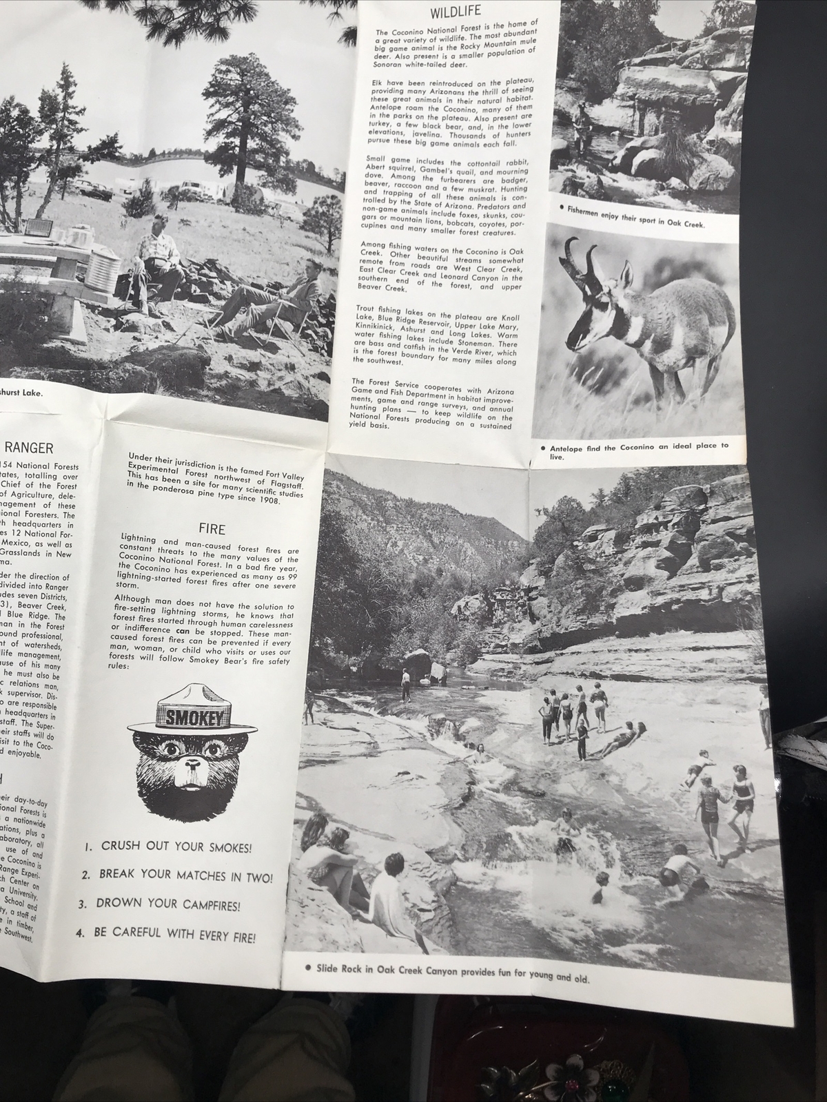 VTG 1968 Coconino National Forest Arizona Map US Dept of Agriculture