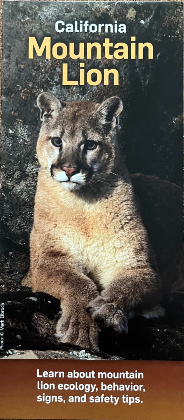 New CALIFORNIA MOUNTAIN LION BROCHURE GUIDE NPS/Fish & Wildlife/CA State Parks