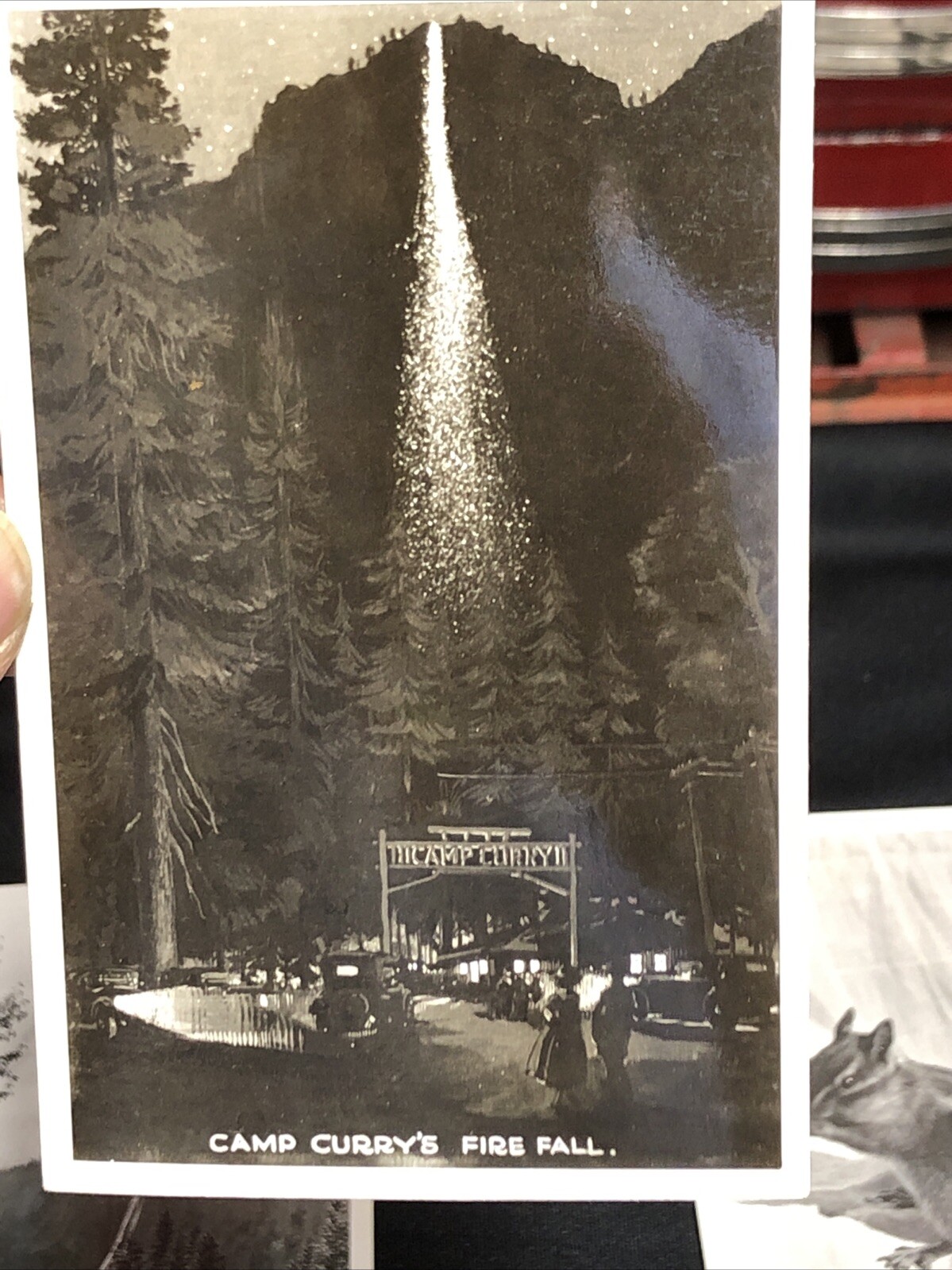 1930s-1950s Vintage Postcards of Yosemite Park RPPCs NOS (P129)