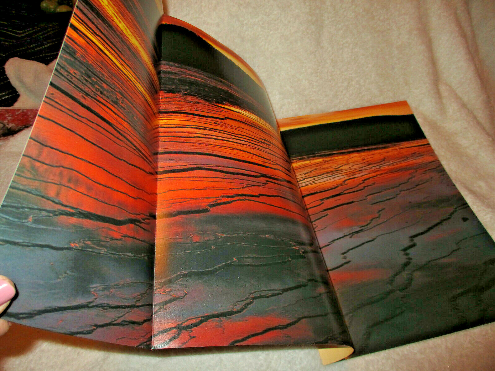 Yellowstone National Park~1989~1st Printing~Soft Cover