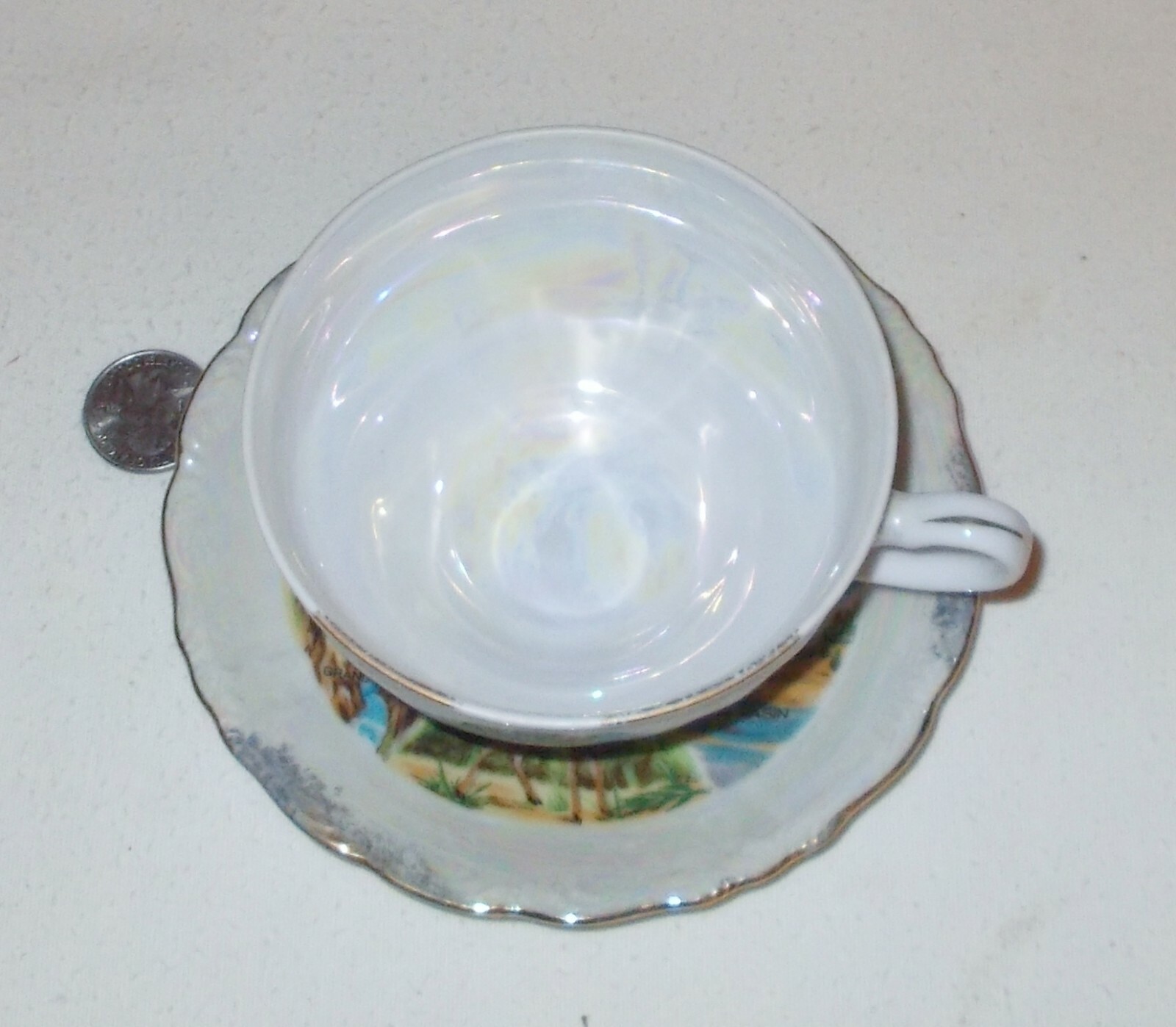 VTG Victoria Ceramics YELLOW STONE NATIONAL PARK CUP & SAUCER Luster Ware +