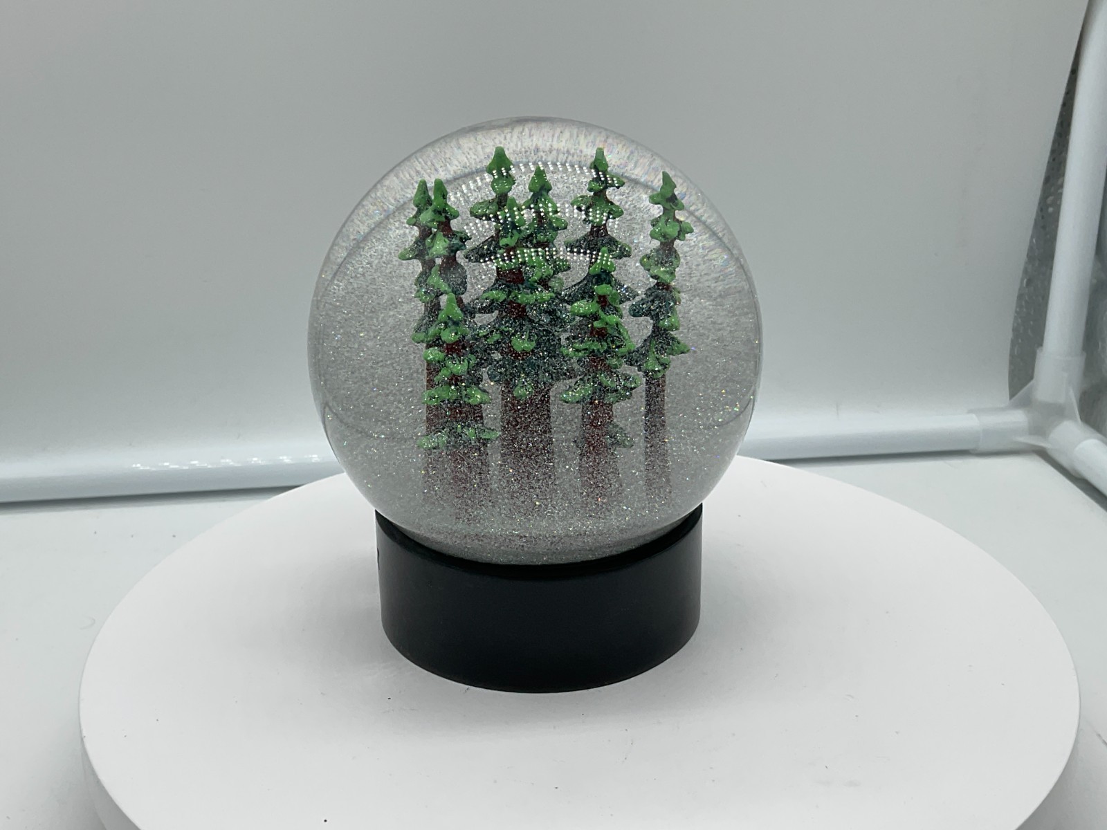 Redwood Forest California Fog Globe National Parks Conservancy Award Winner NIB